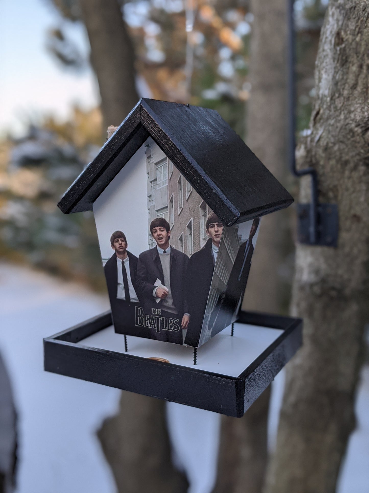 Beatles Bird Feeder Music