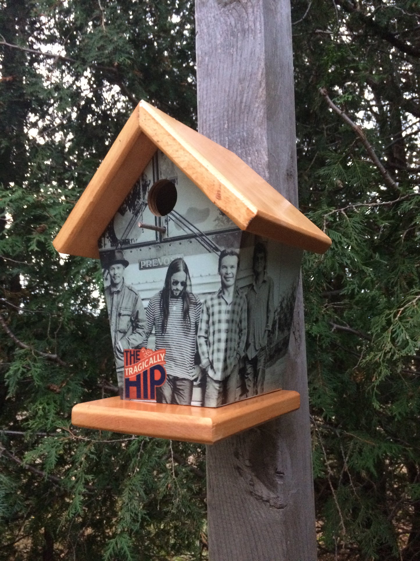 Tragically Hip Birdhouse Stained Roof & Base