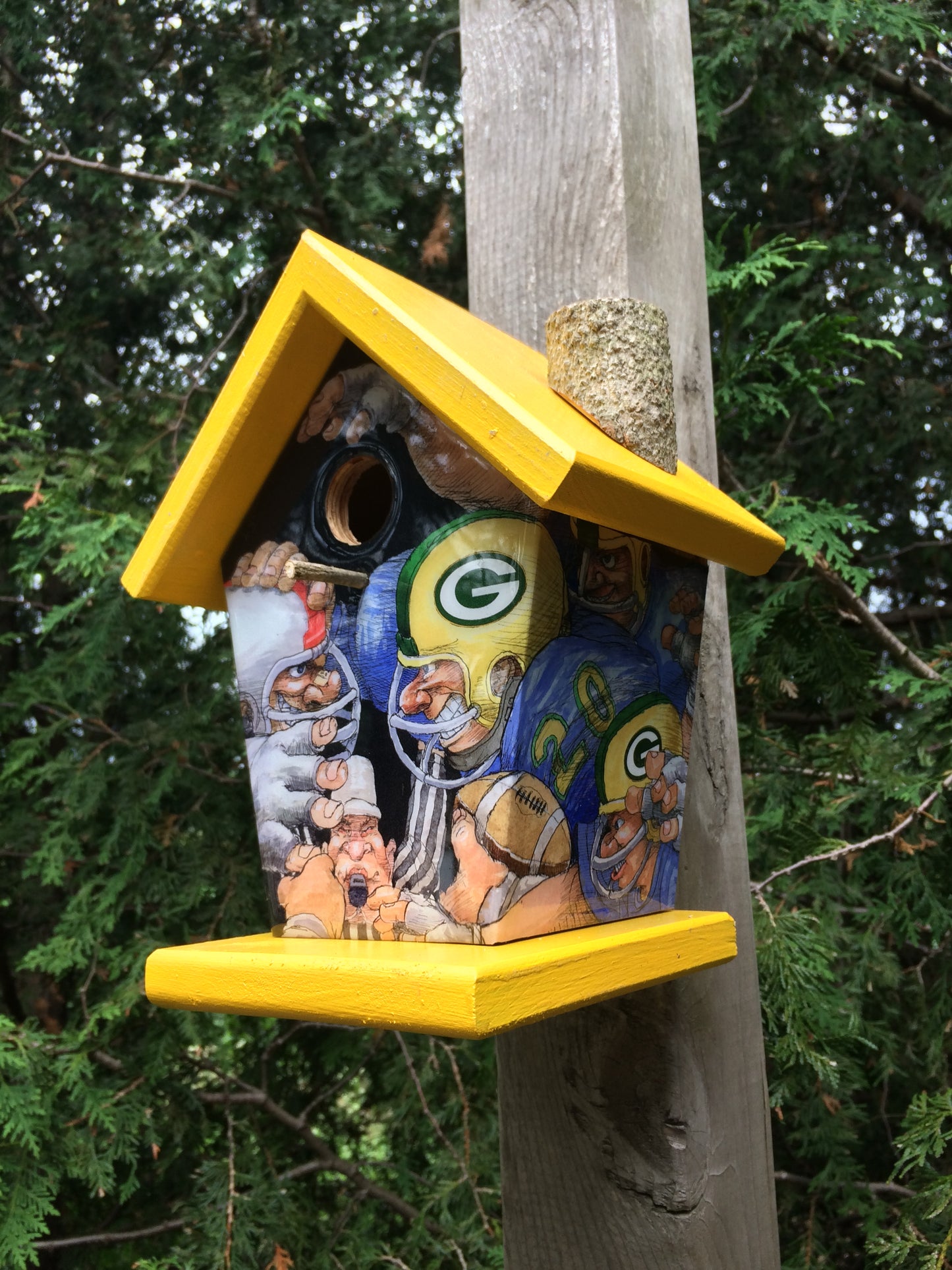Green Bay Packers Birdhouse Art work by Phil Mallette