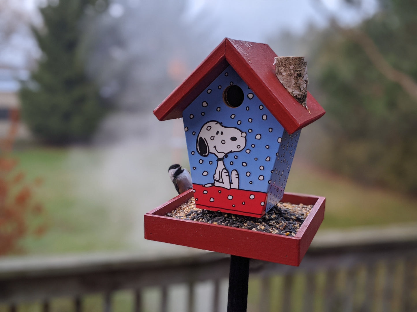 Snoopy bird feeder