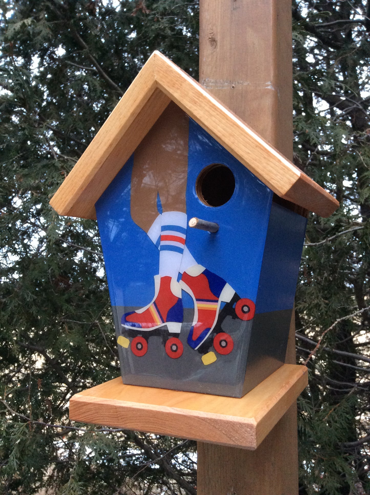 Roller Skate Lovers Birdhouse