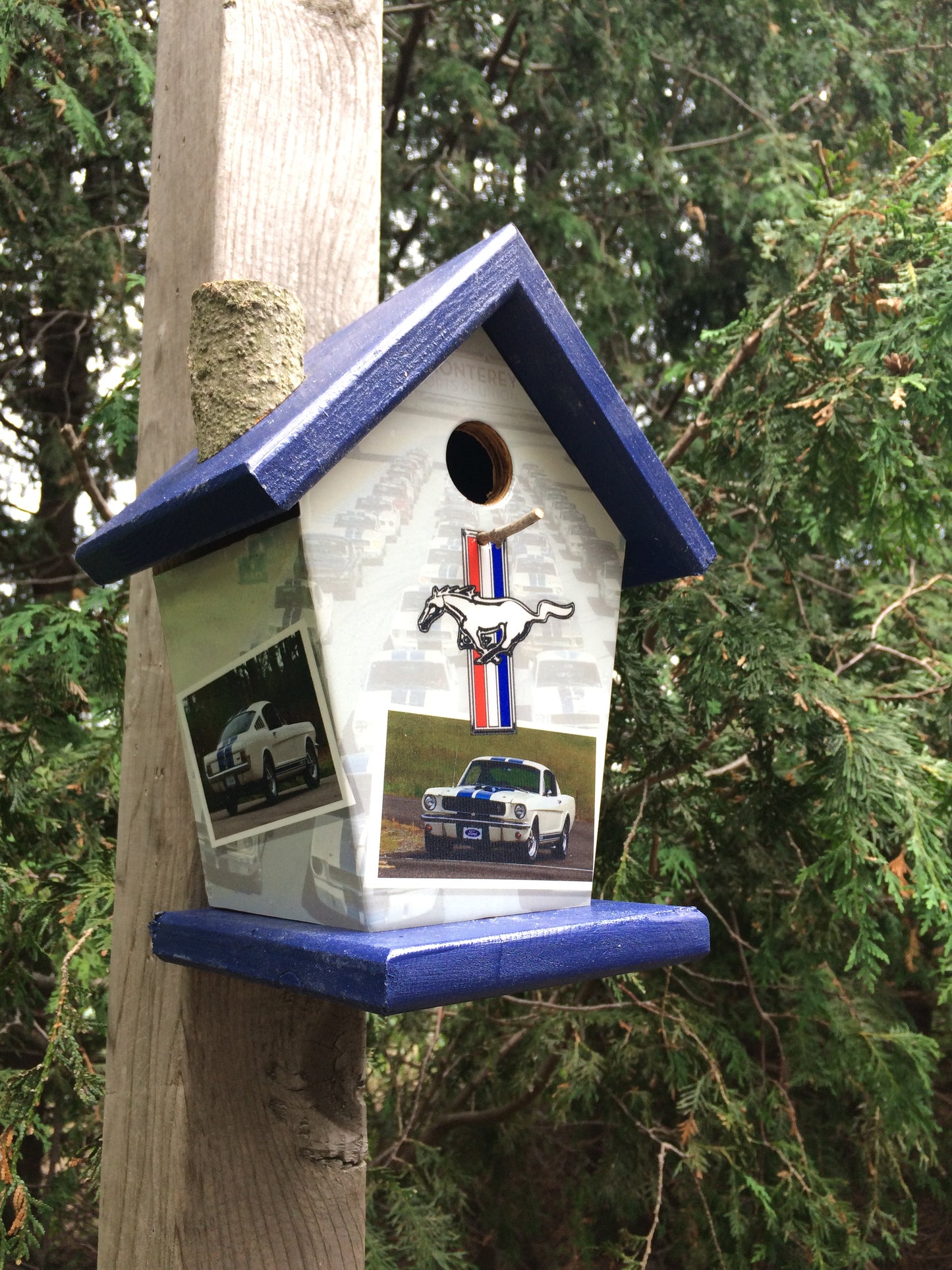 Ford Mustang Lovers Birdhouse