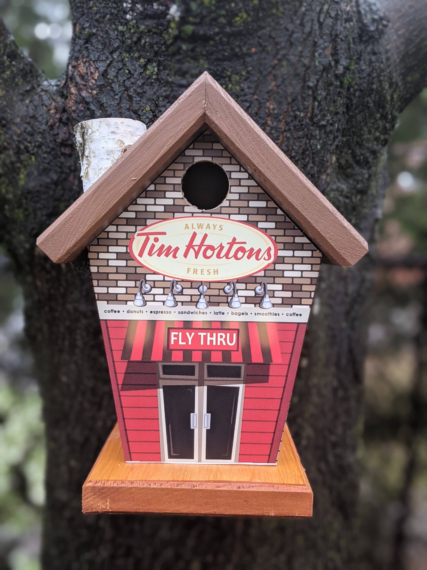 Tim Hortons Birdhouse