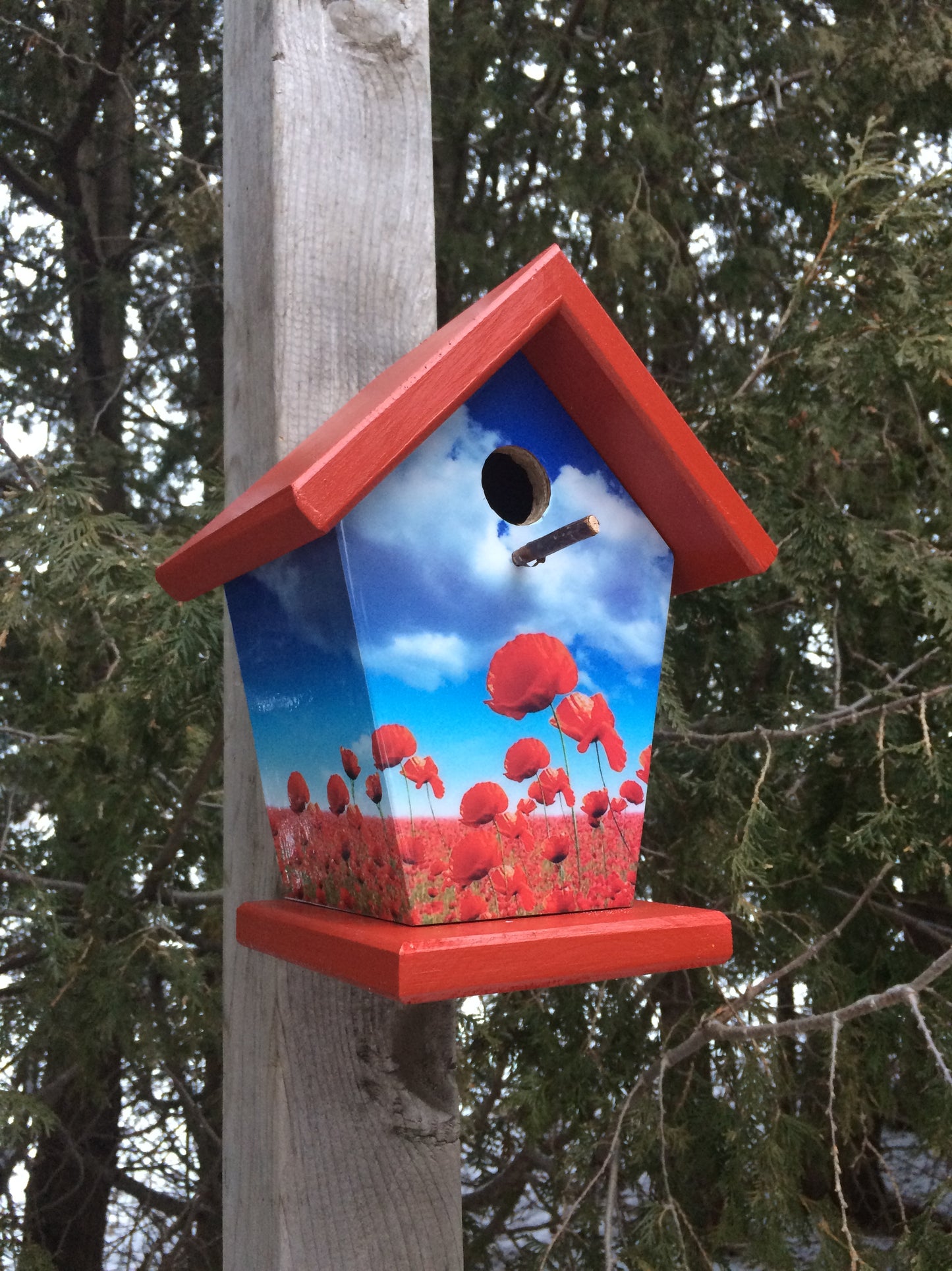Poppy Birdhouse