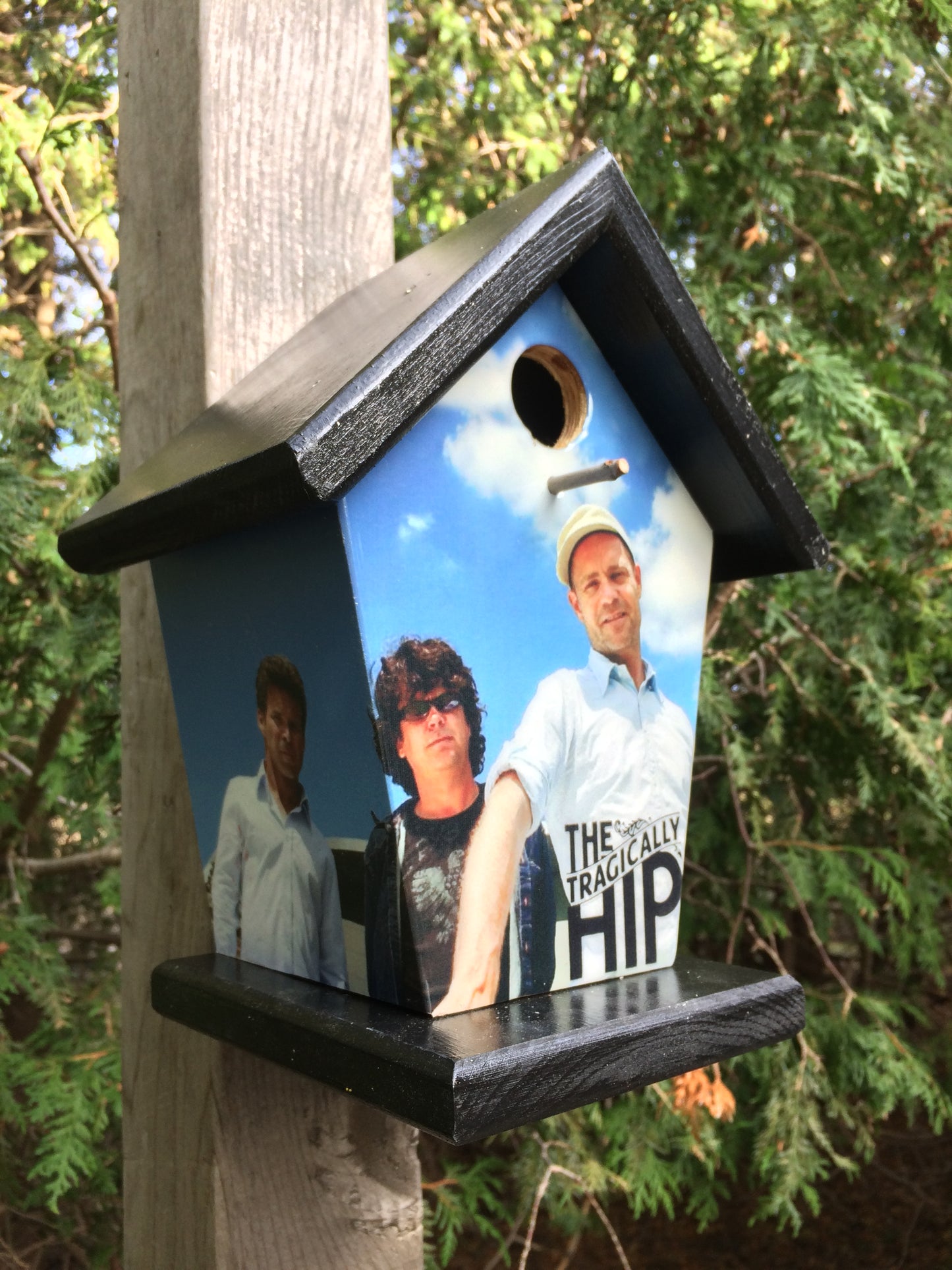 The Tragically Hip Birdhouse