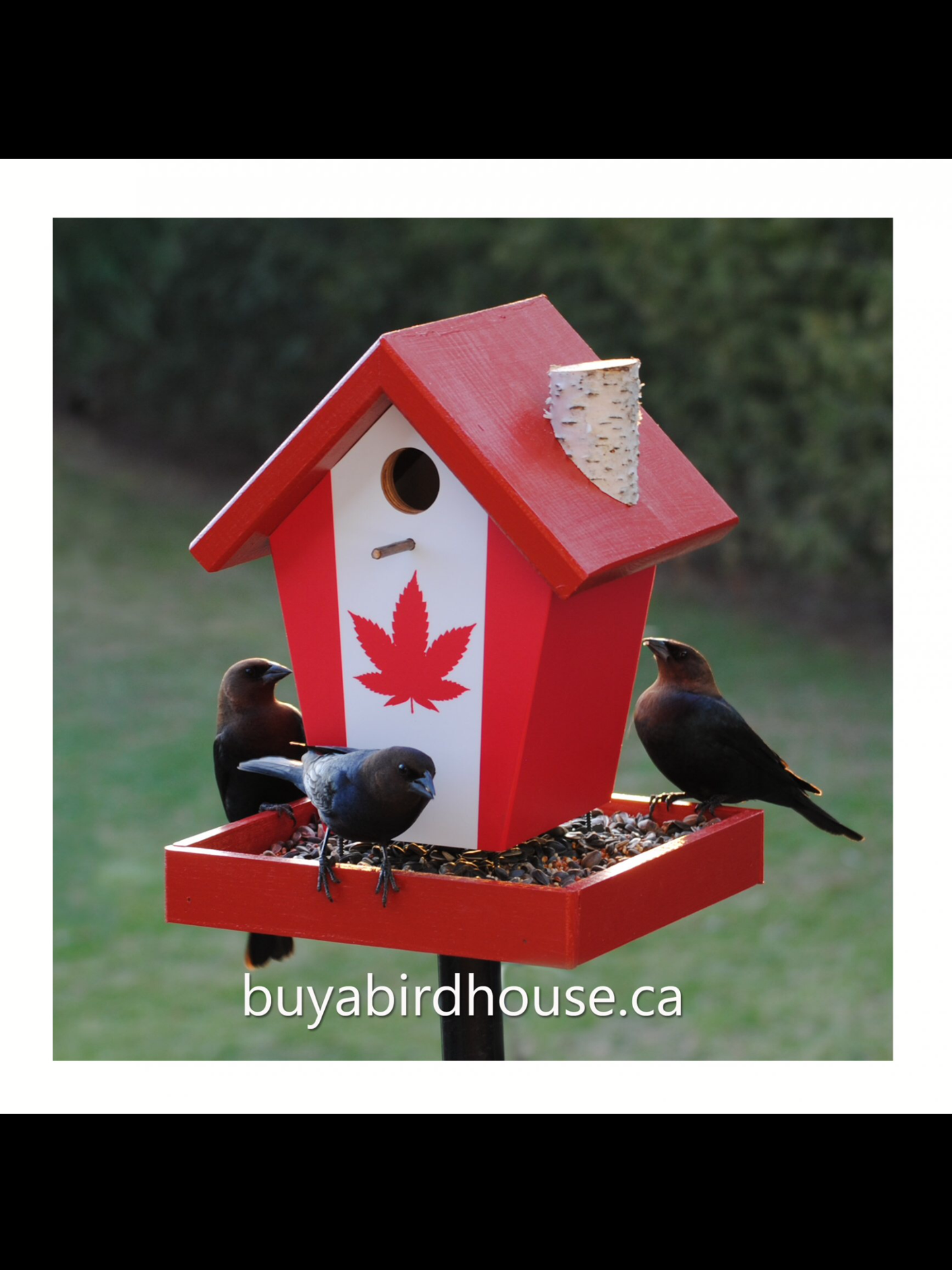 Cannabis Flag Bird Feeder