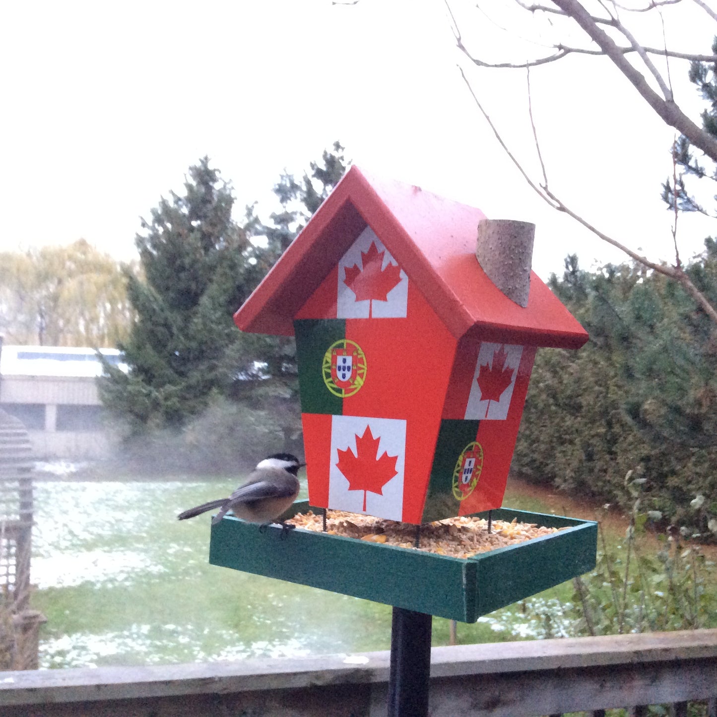 Canada and Portuguese flag bird feeder