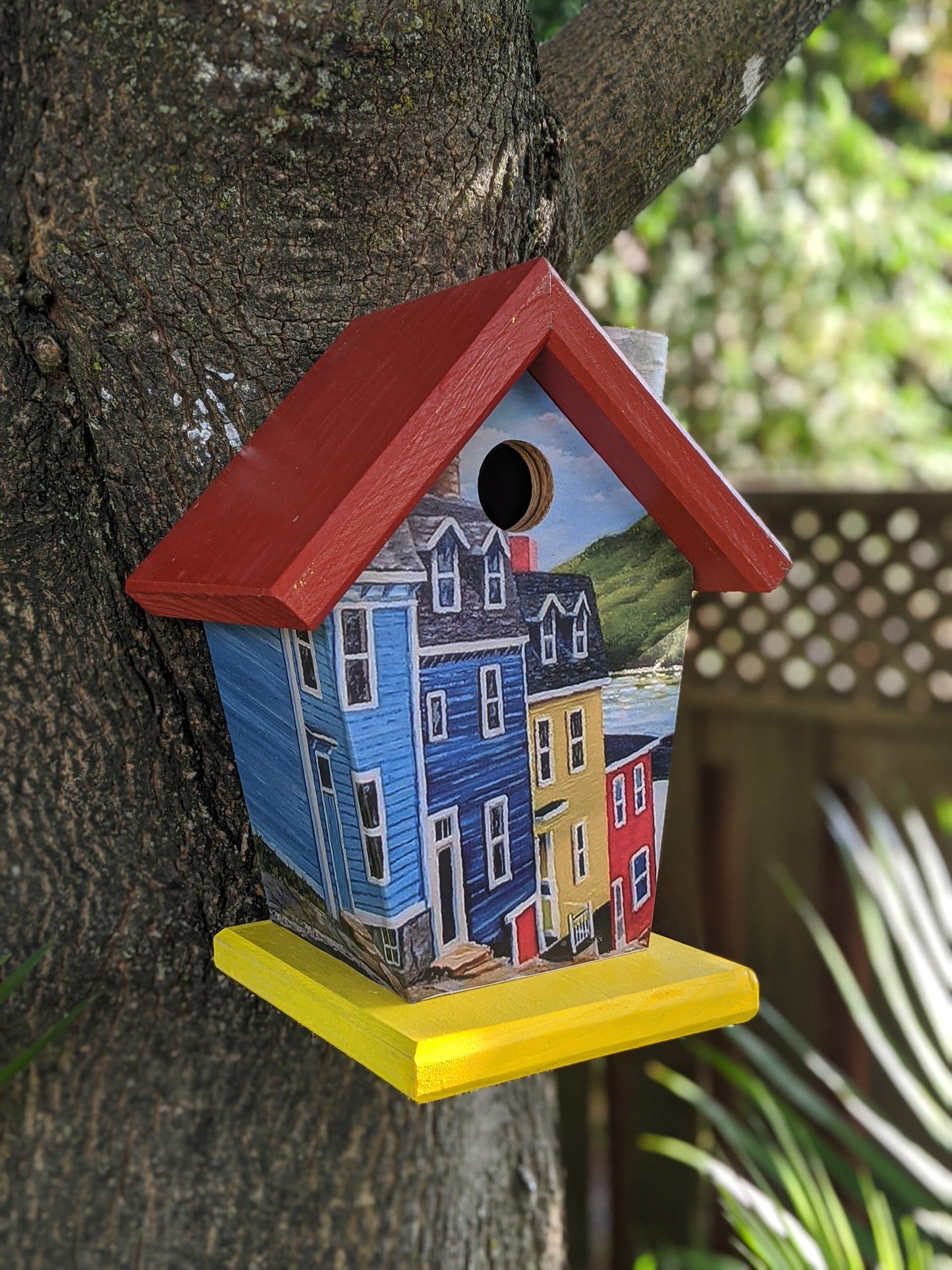 Jelly Bean Row Newfoundland Birdhouse