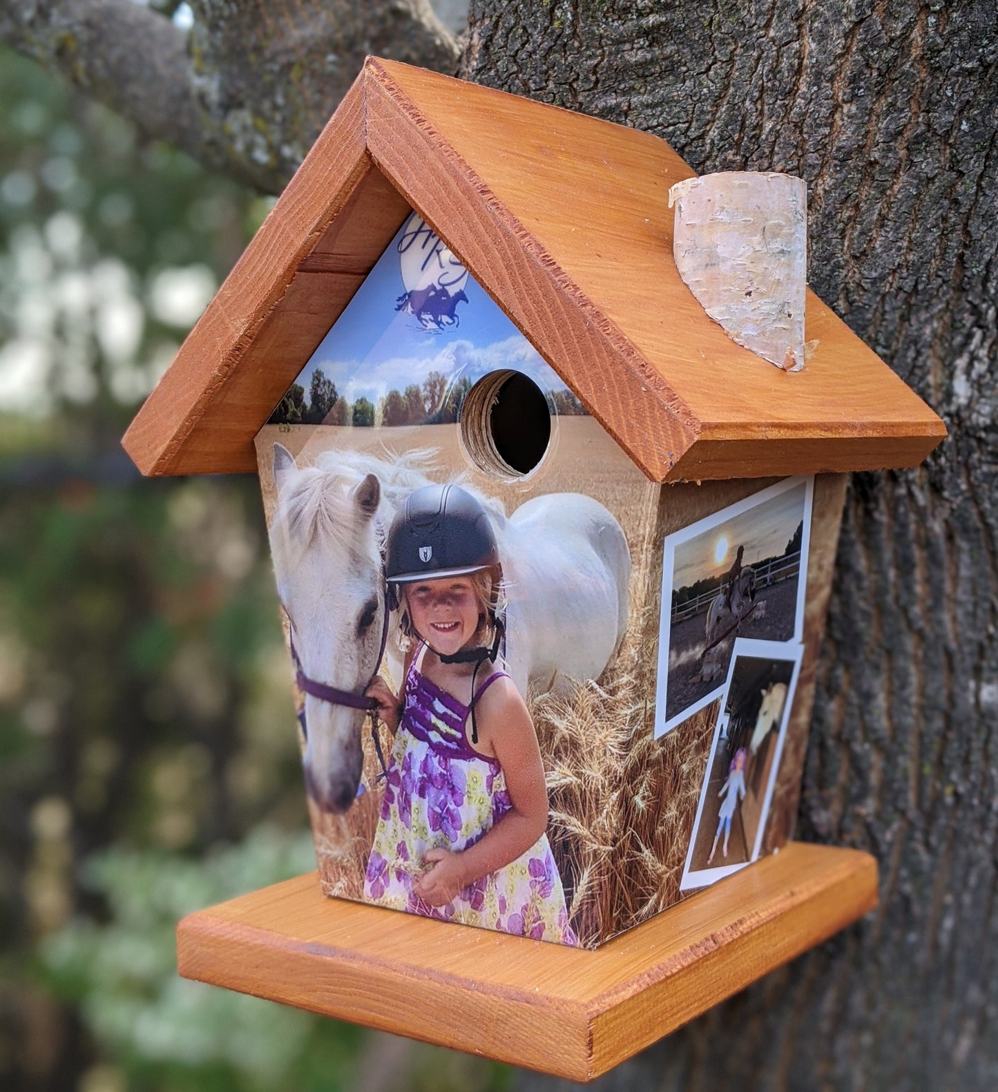 Personalized Photo Birdhouse