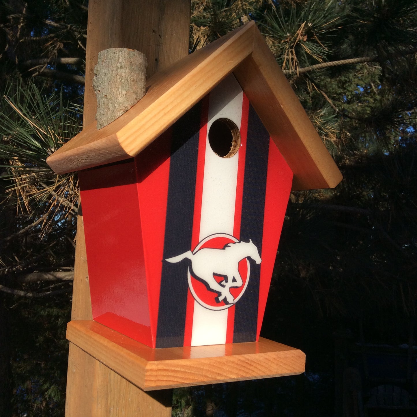 Denver Broncos Birdhouse