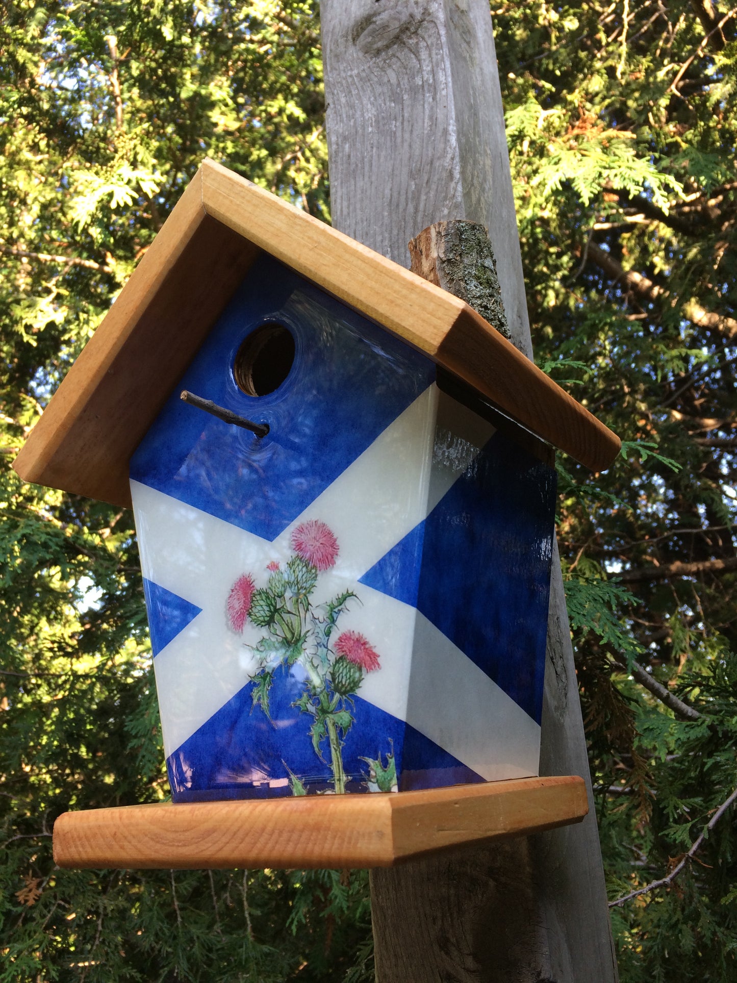 Scottish Thistle Birdhouse