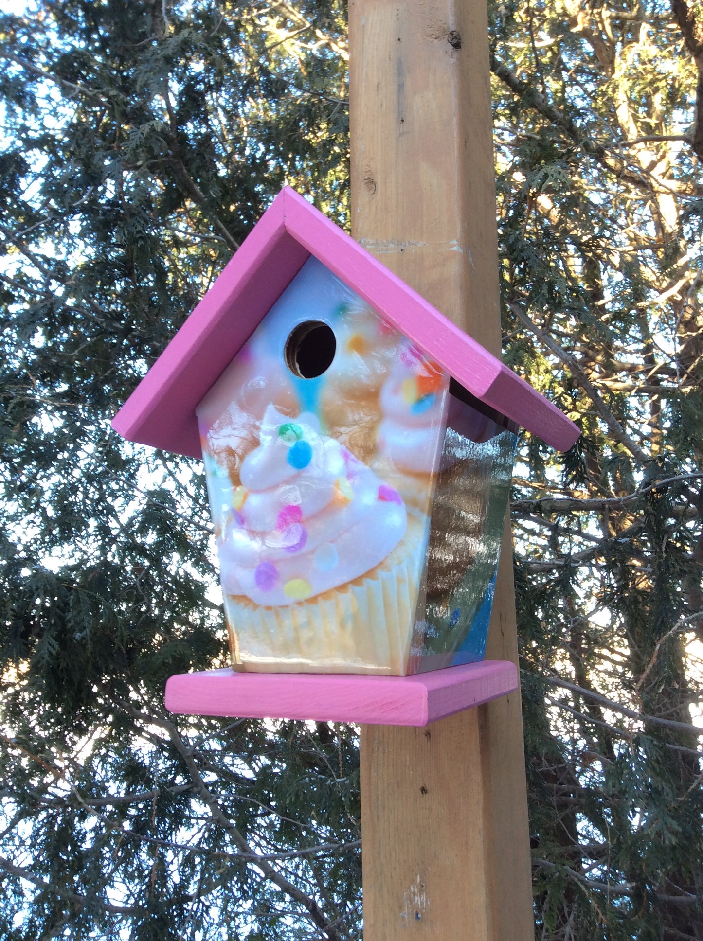 Cupcakes Lovers Birdhouse