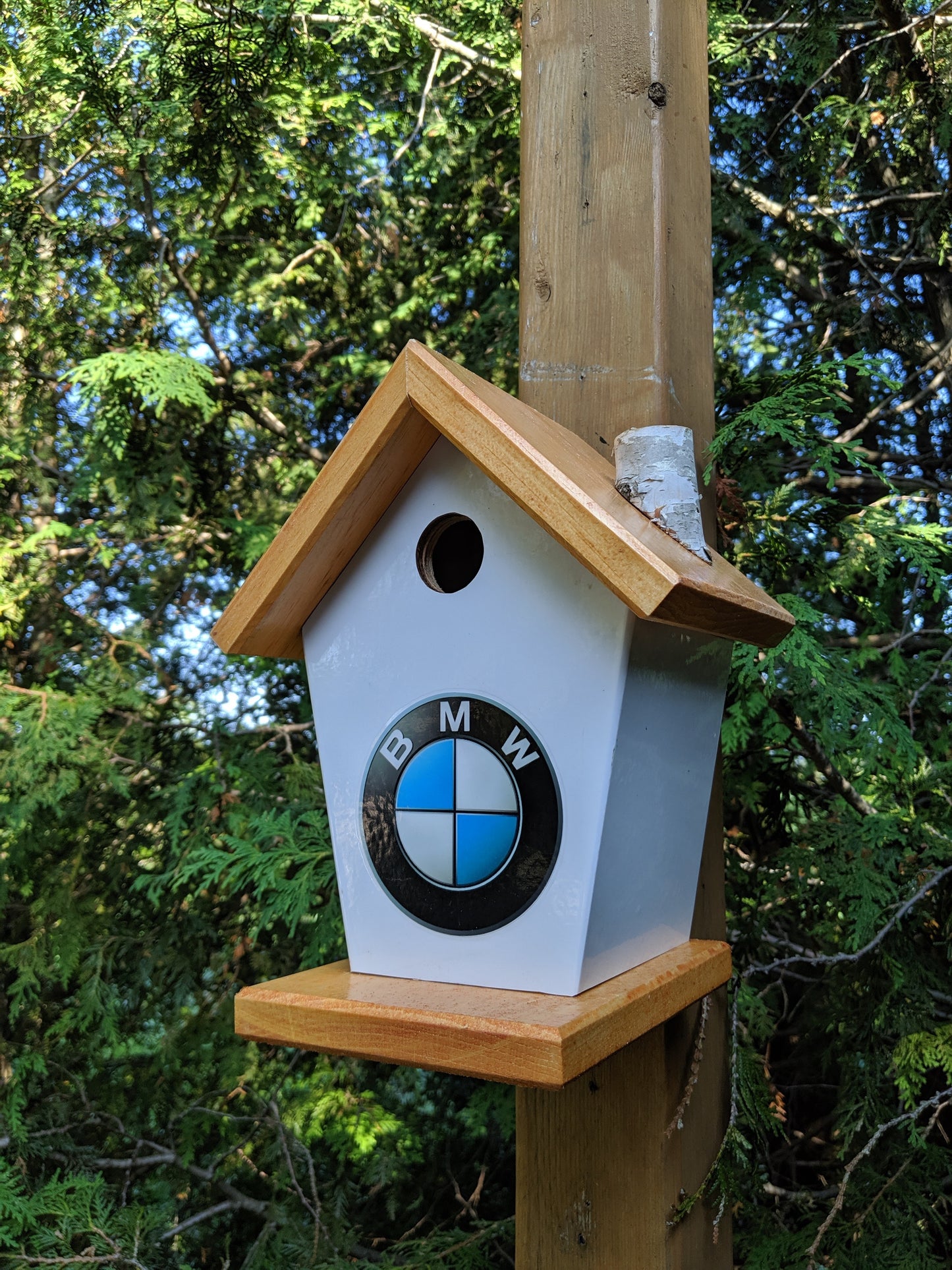BMW Birdhouse