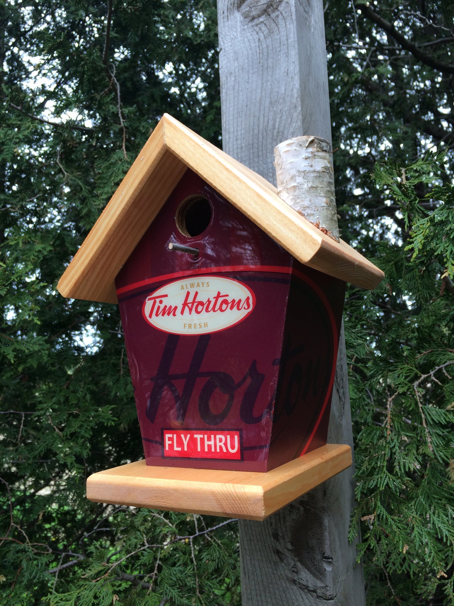 Coffee Lovers Tim Hortons Birdhouse