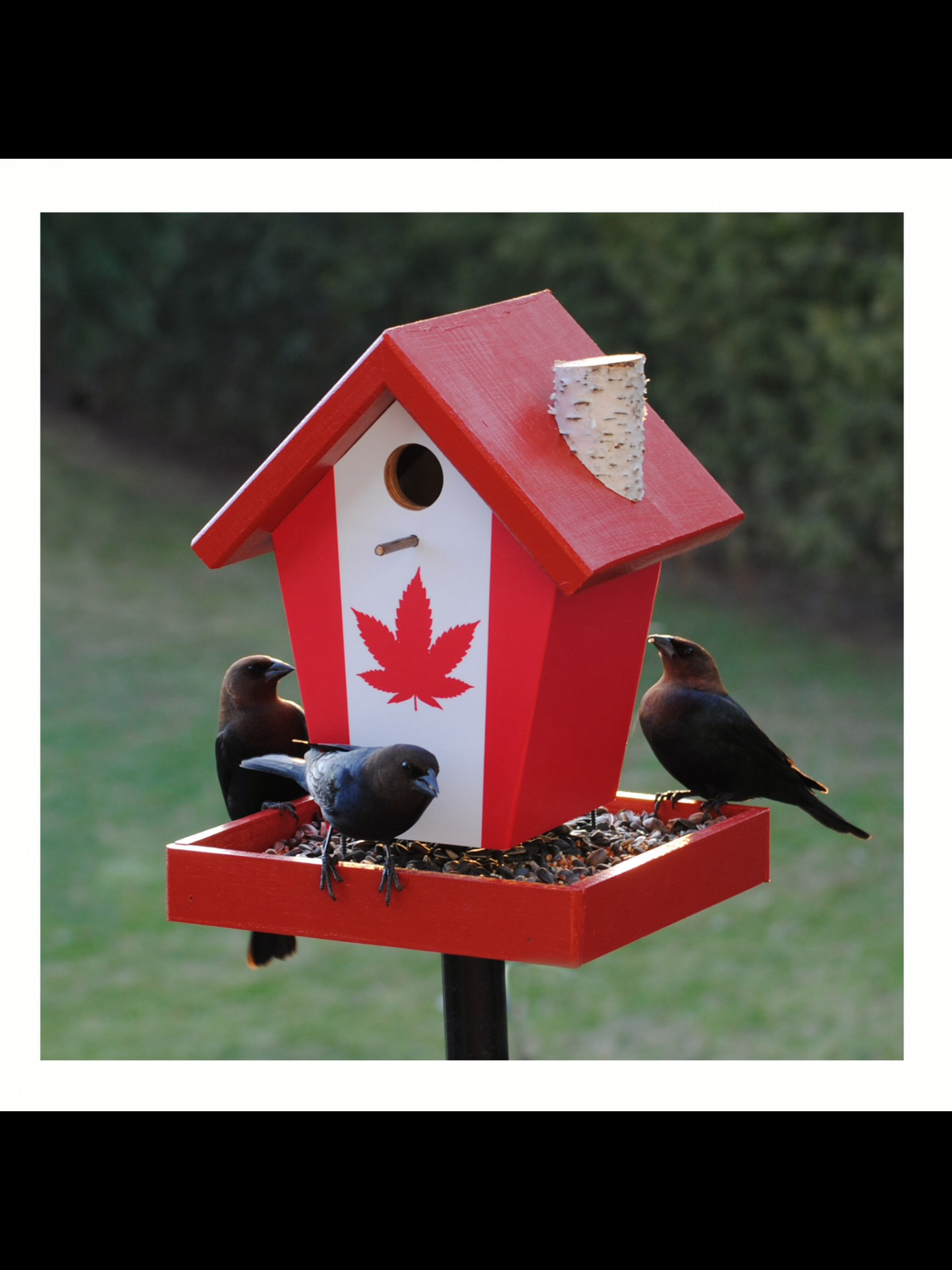 Cannabis Flag Bird Feeder