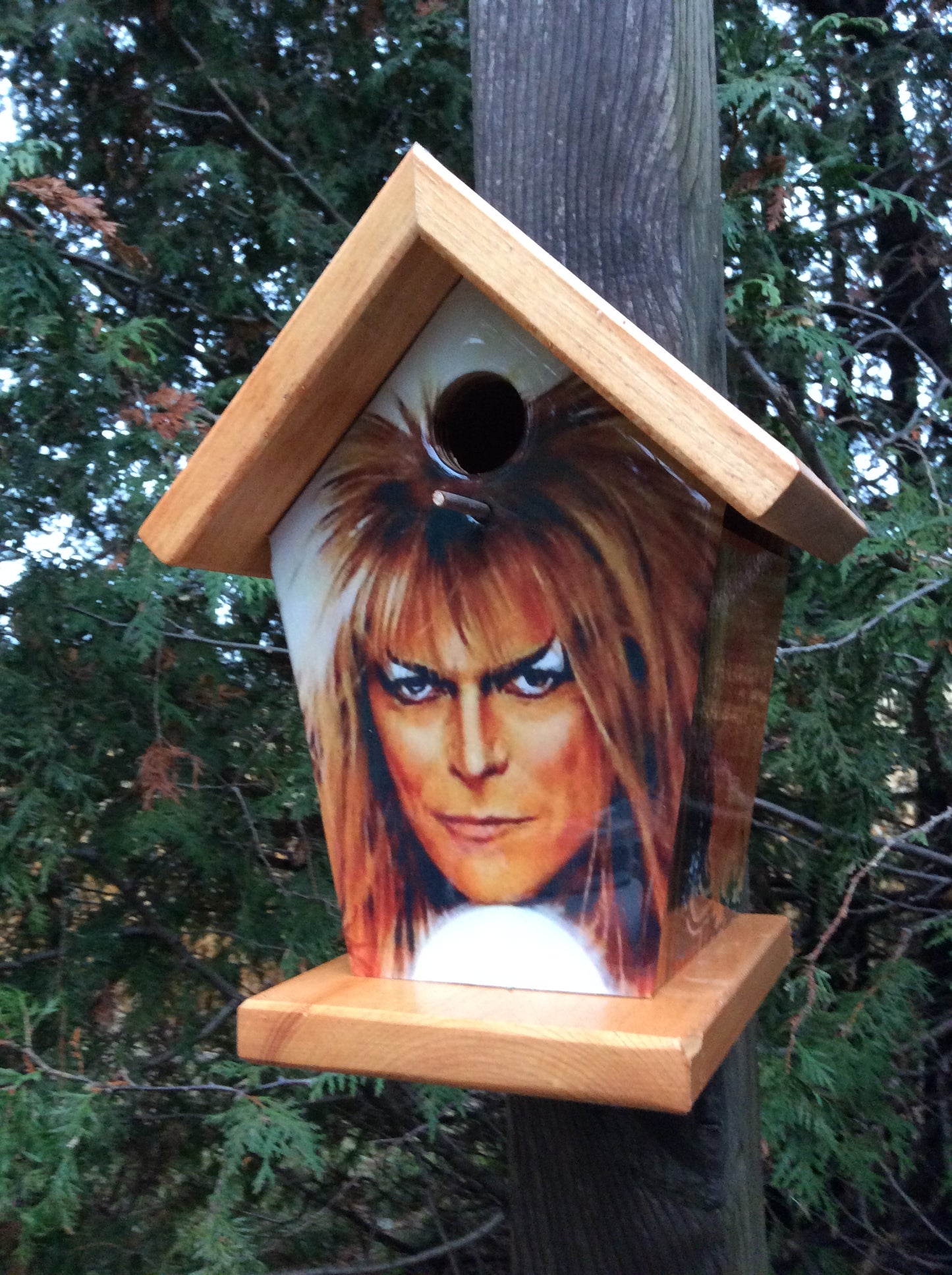 David Bowie Labyrinth Birdhouse
