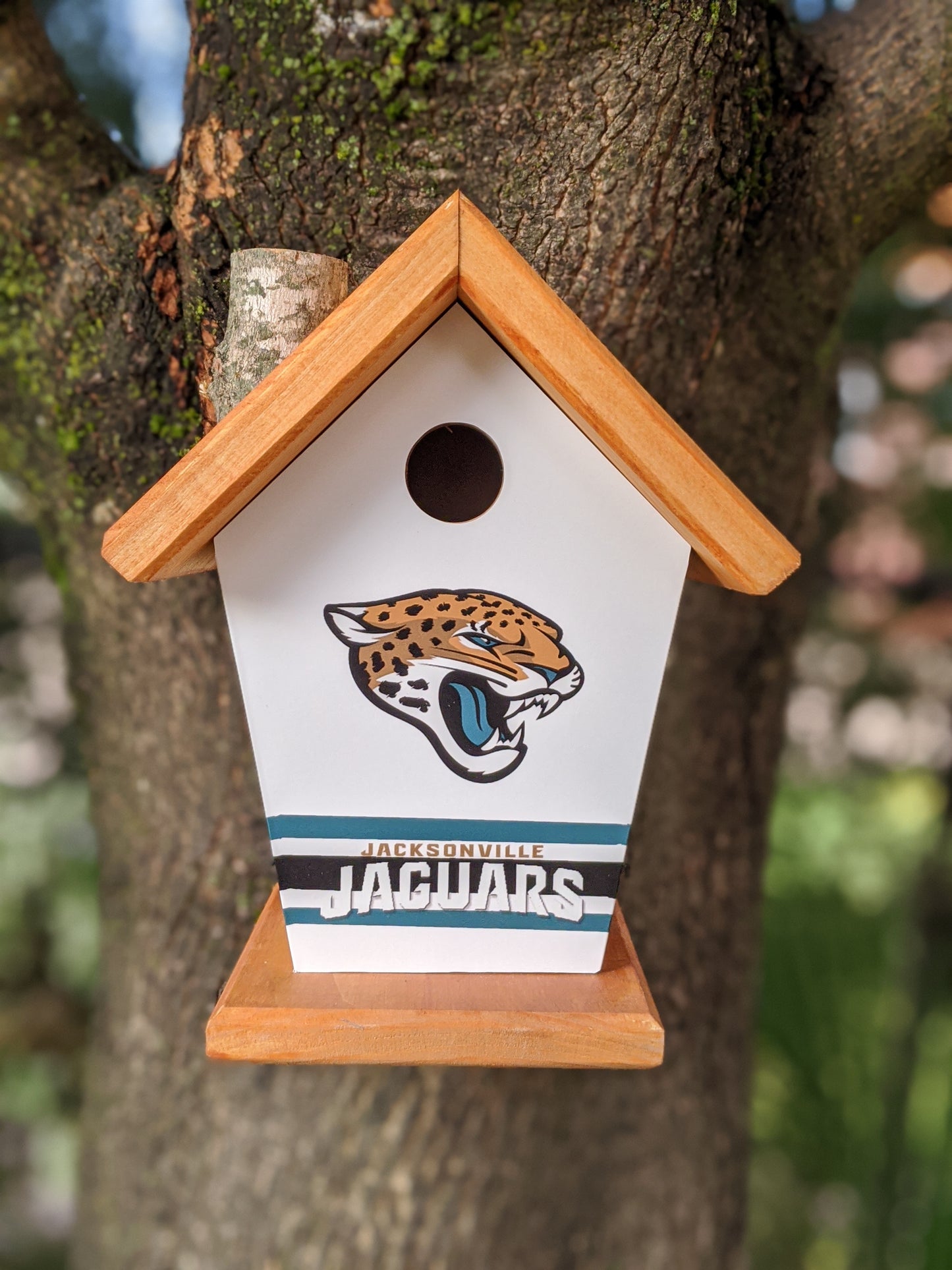 Jacksonville Jaguars Birdhouse
