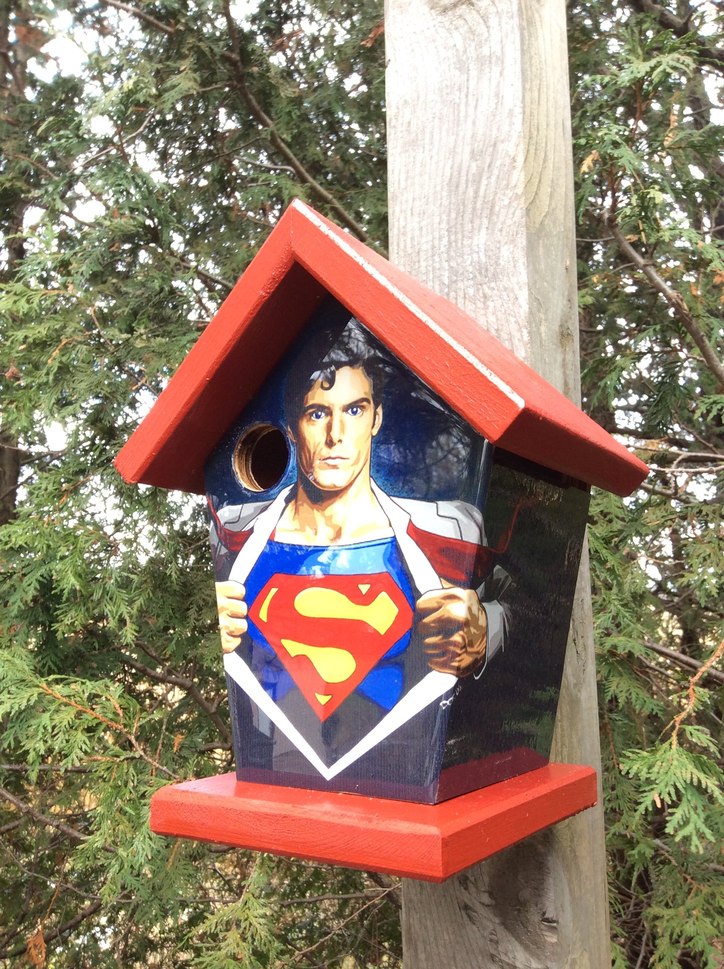 Superman Birdhouse