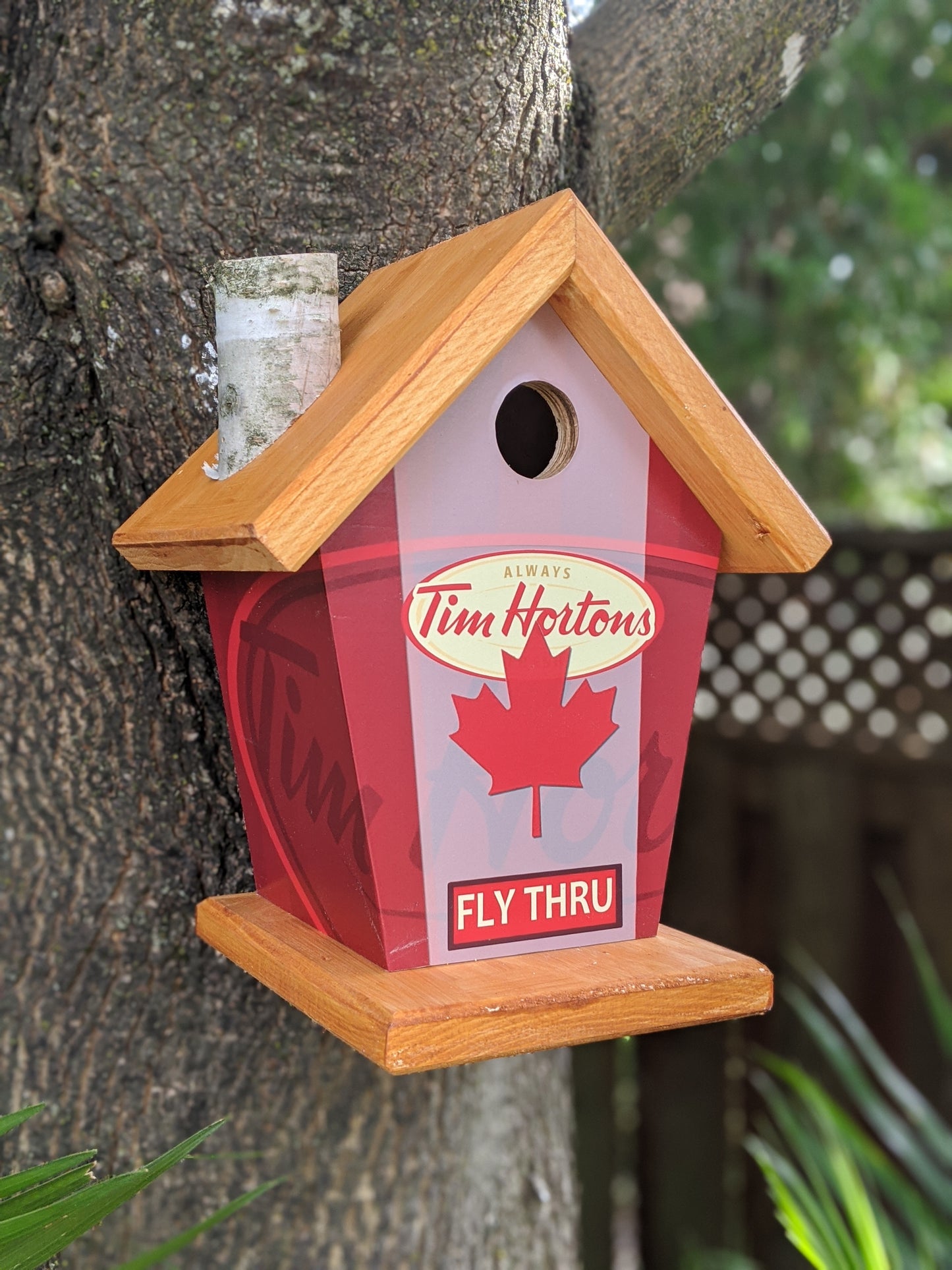 Tim Hortons fly thru birdhouse