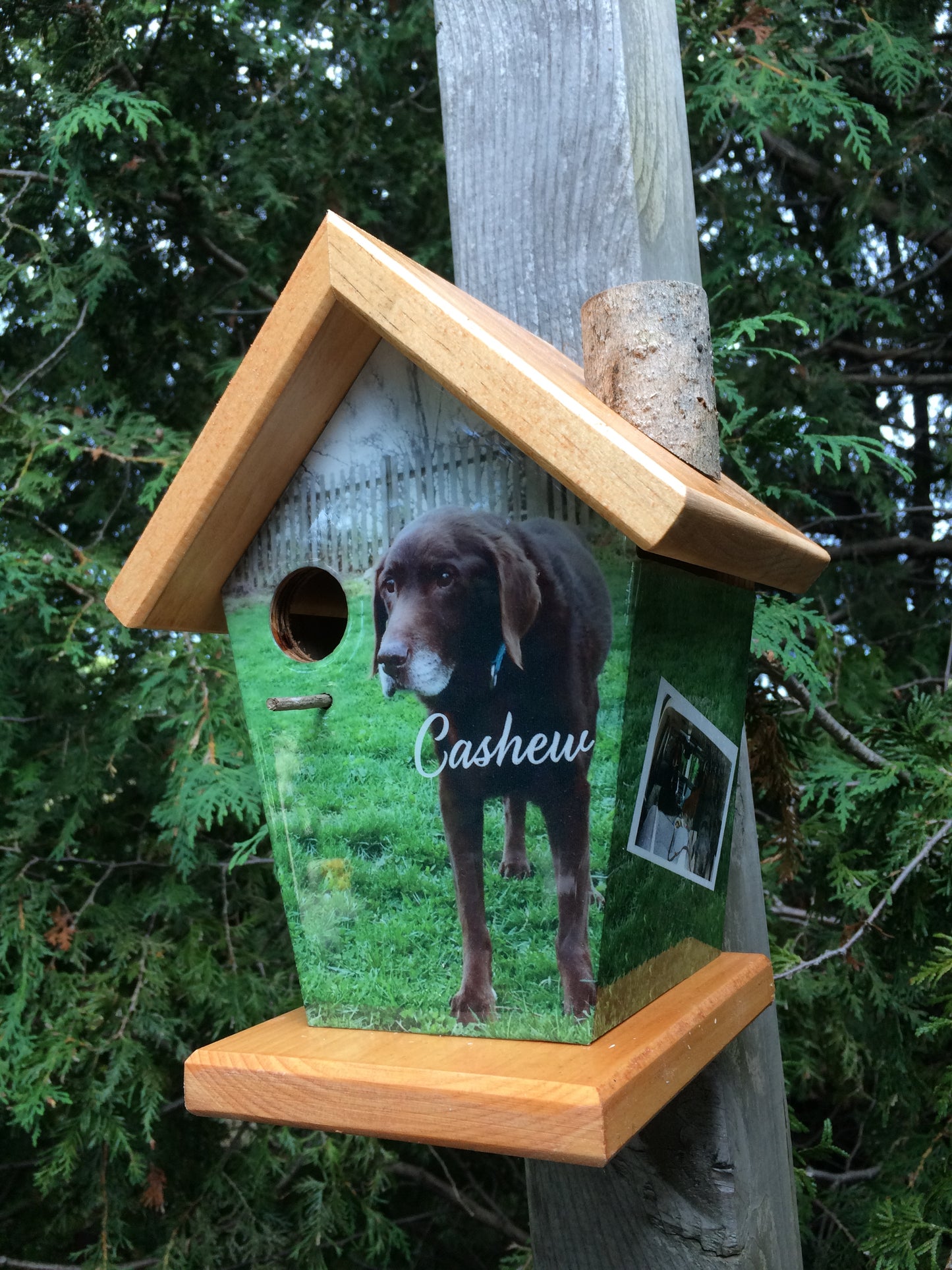 Personalized Pet Dog Birdhouse