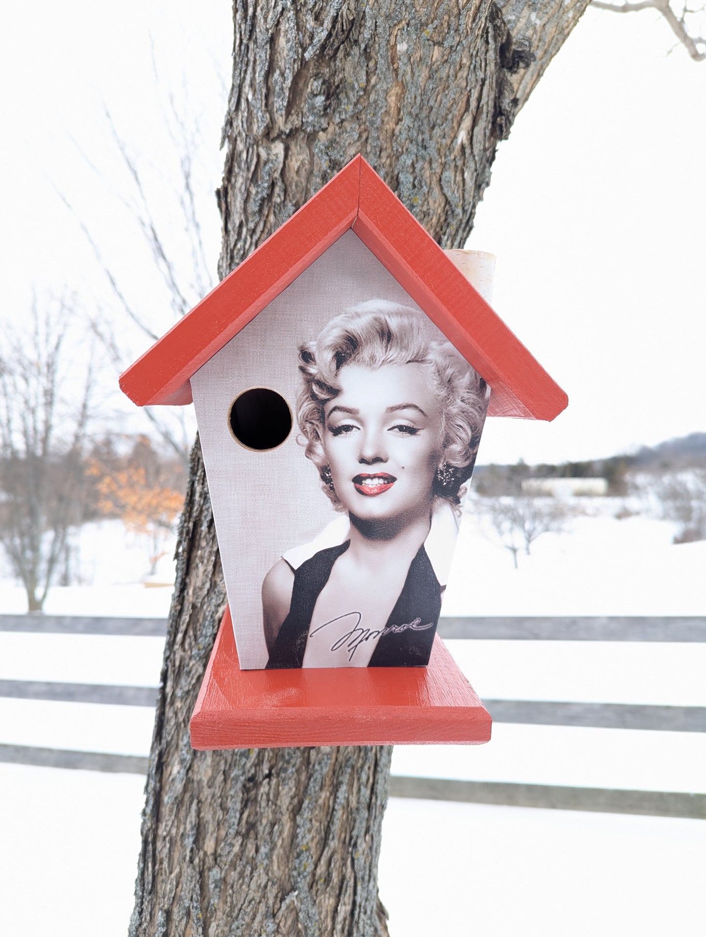 Marilyn Monroe Birdhouse