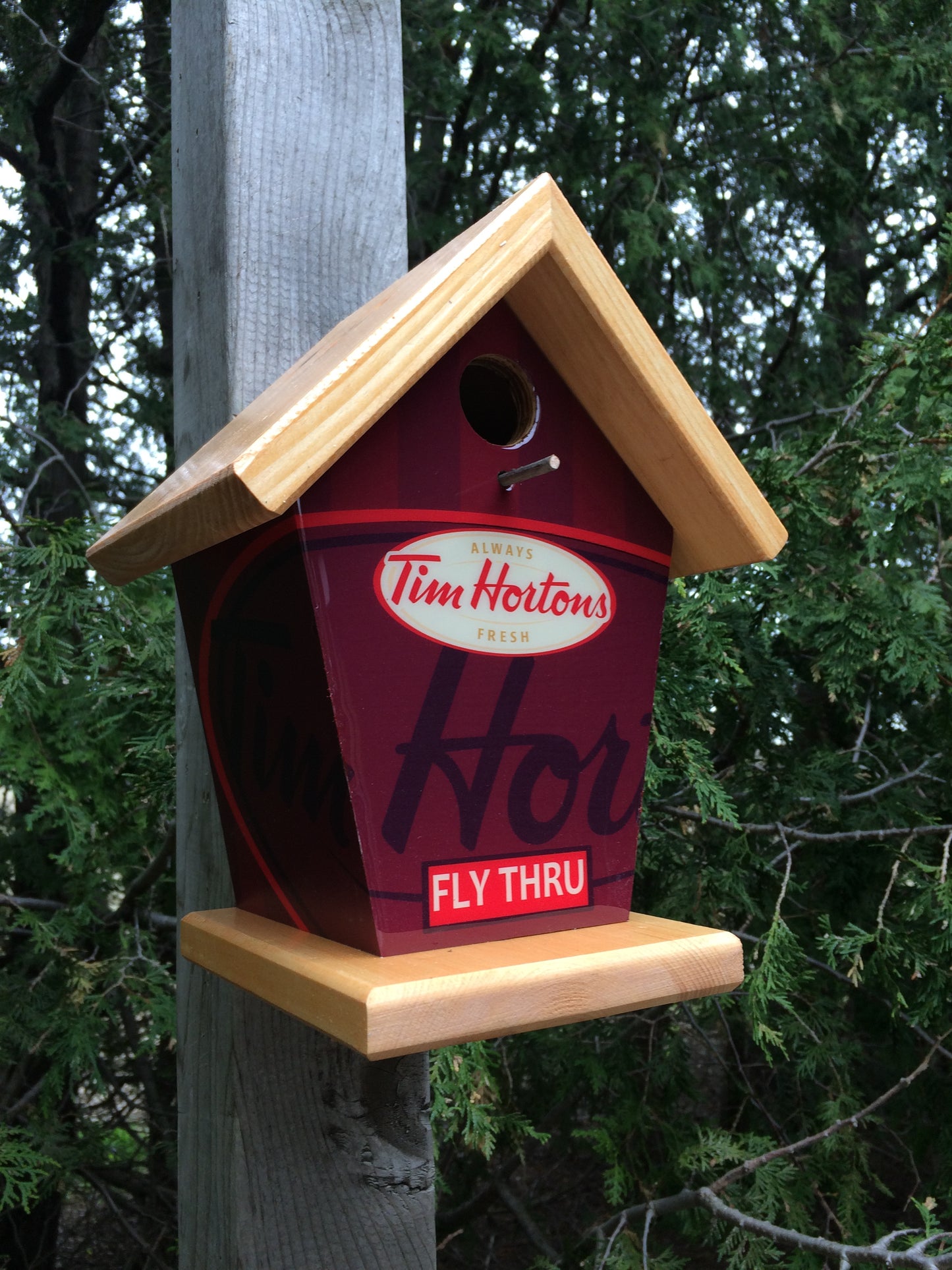 Coffee Lovers Tim Hortons Birdhouse