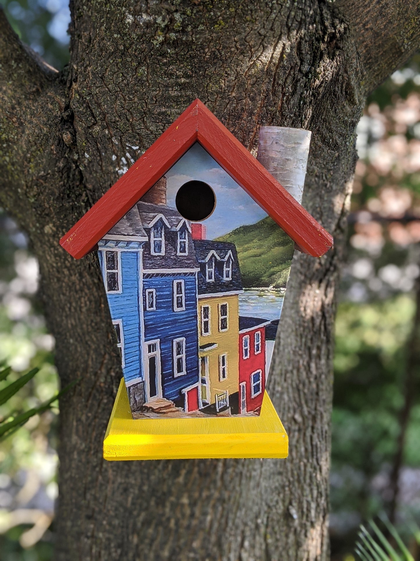 Jelly Bean Row Newfoundland Birdhouse