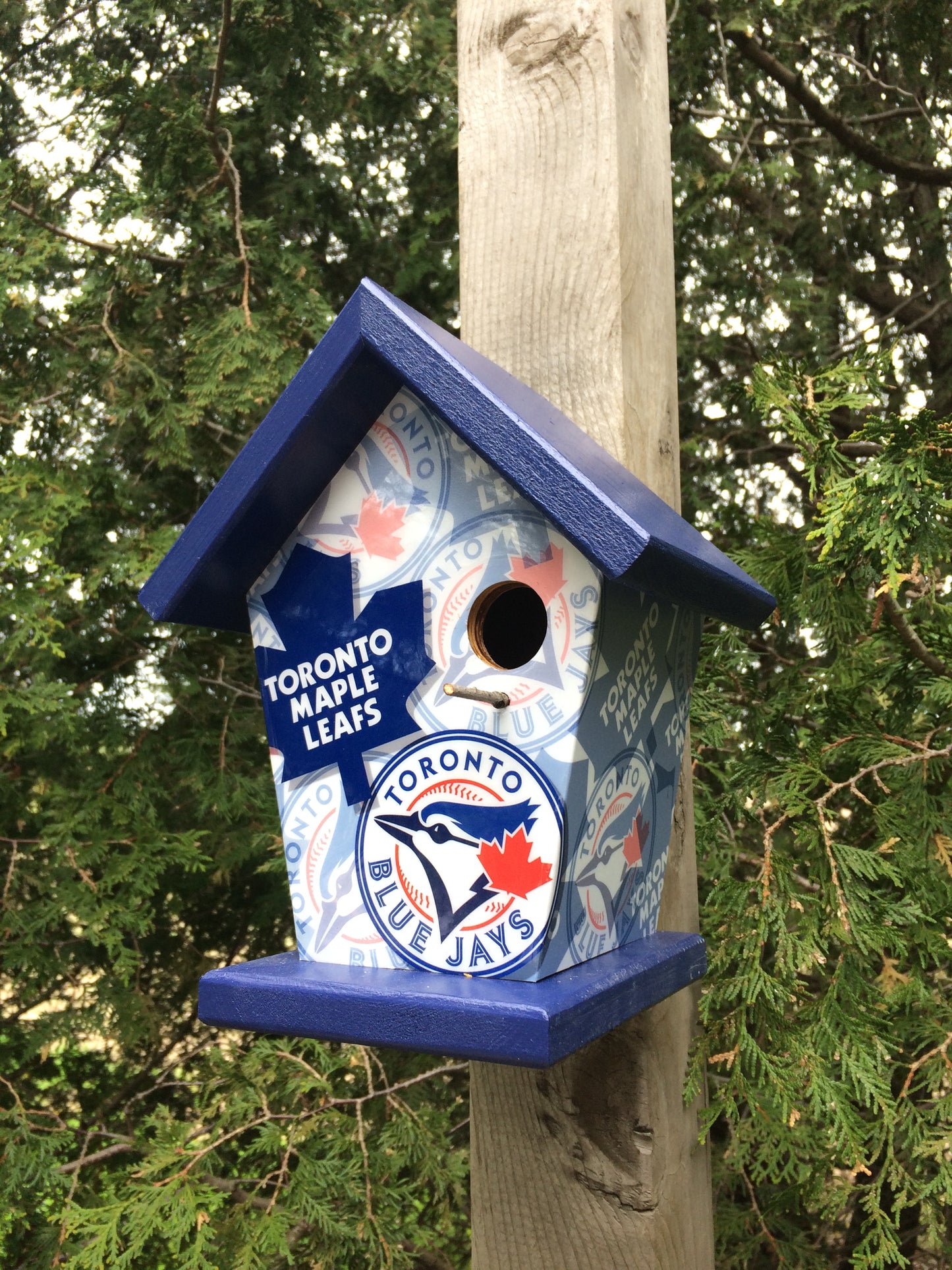Toronto Fan Birdhouse/Feeder Sports