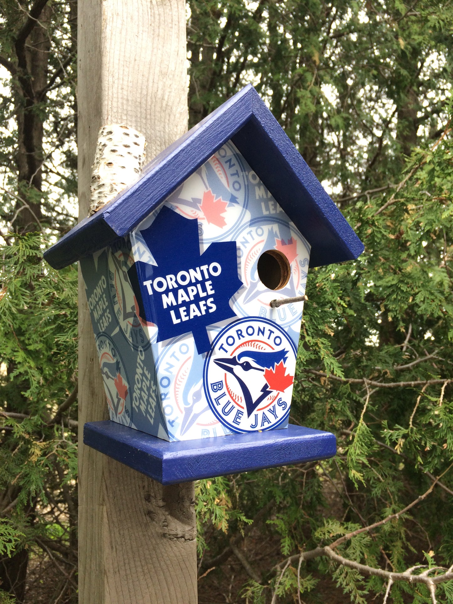Toronto Fan Birdhouse/Feeder Sports