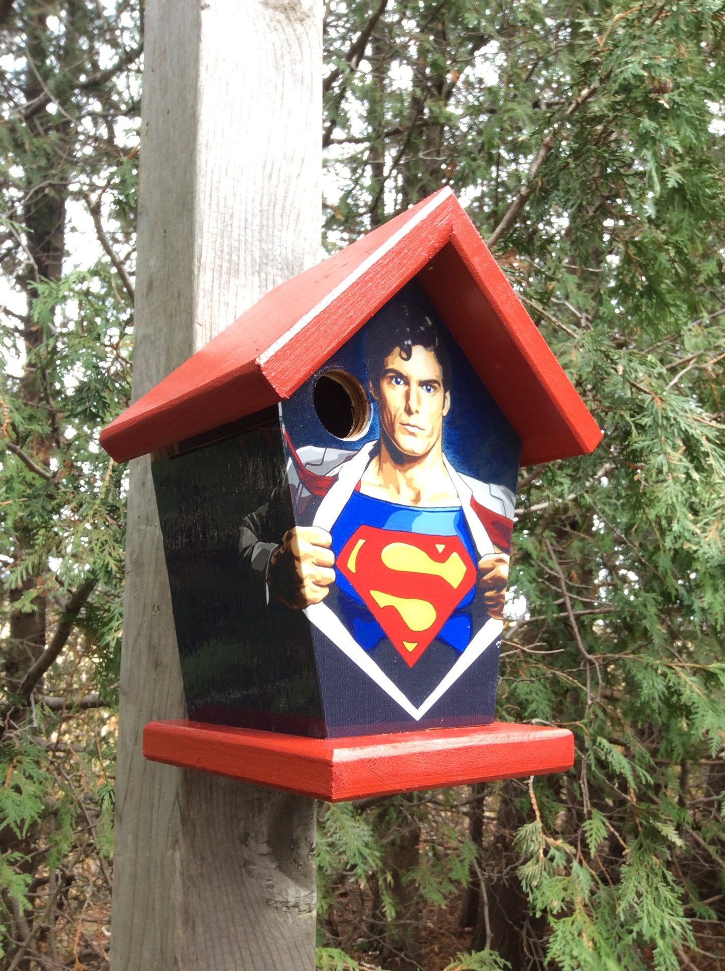 Superman Birdhouse