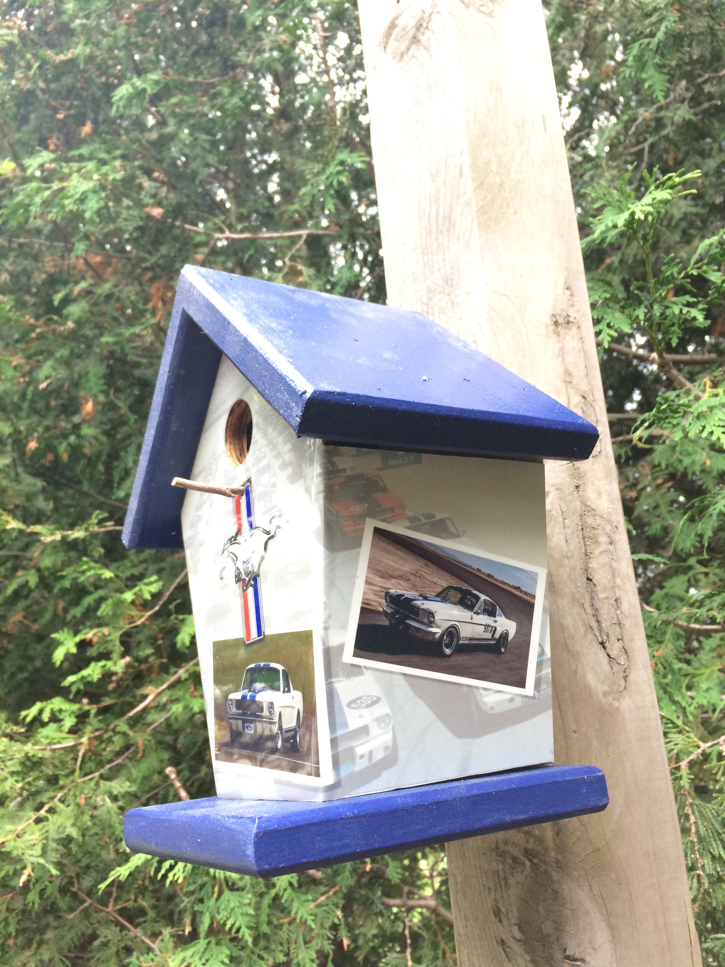 Ford Mustang Lovers Birdhouse