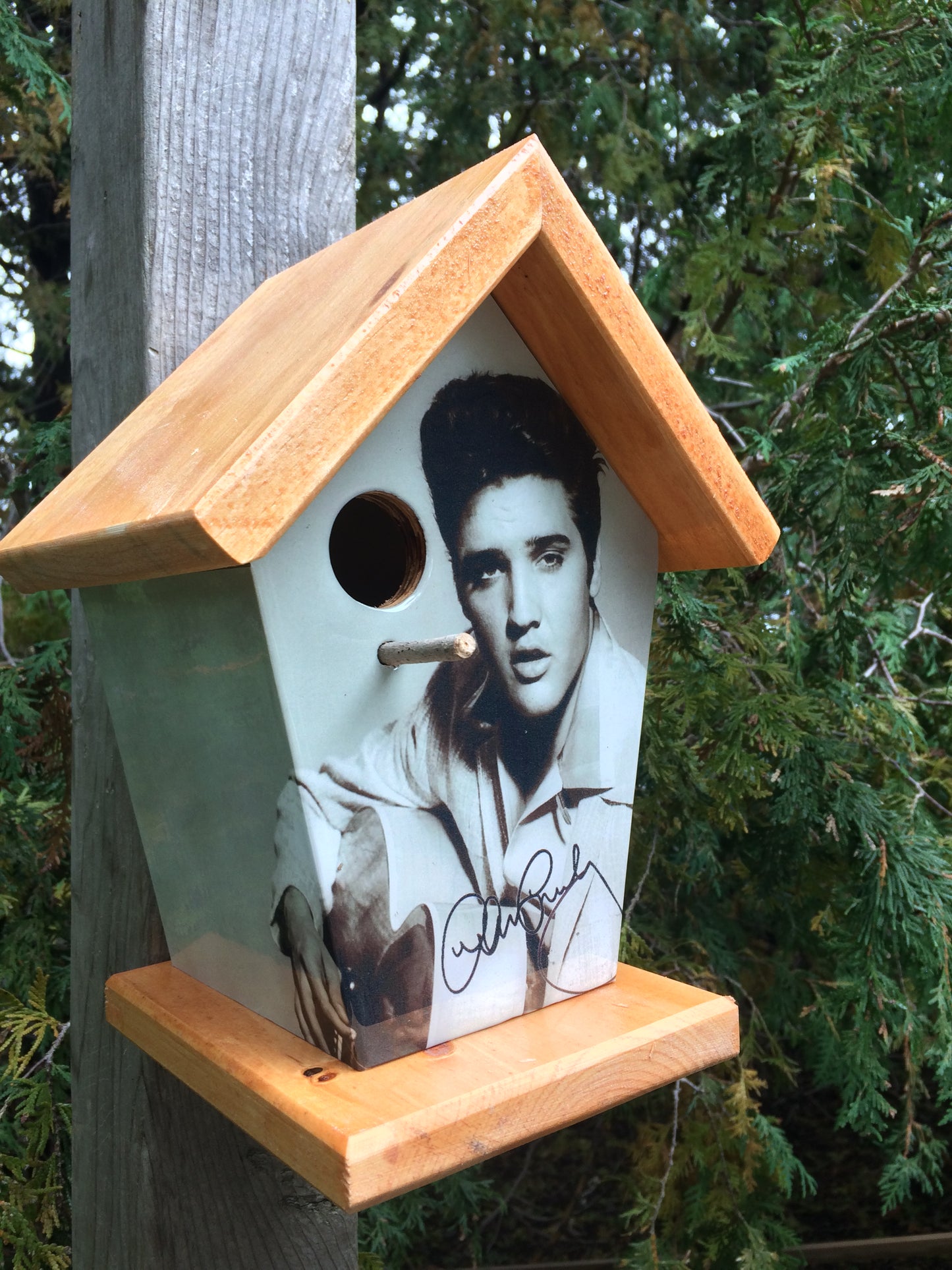 Elvis Presley (Stained Roof & Base) Birdhouse Music