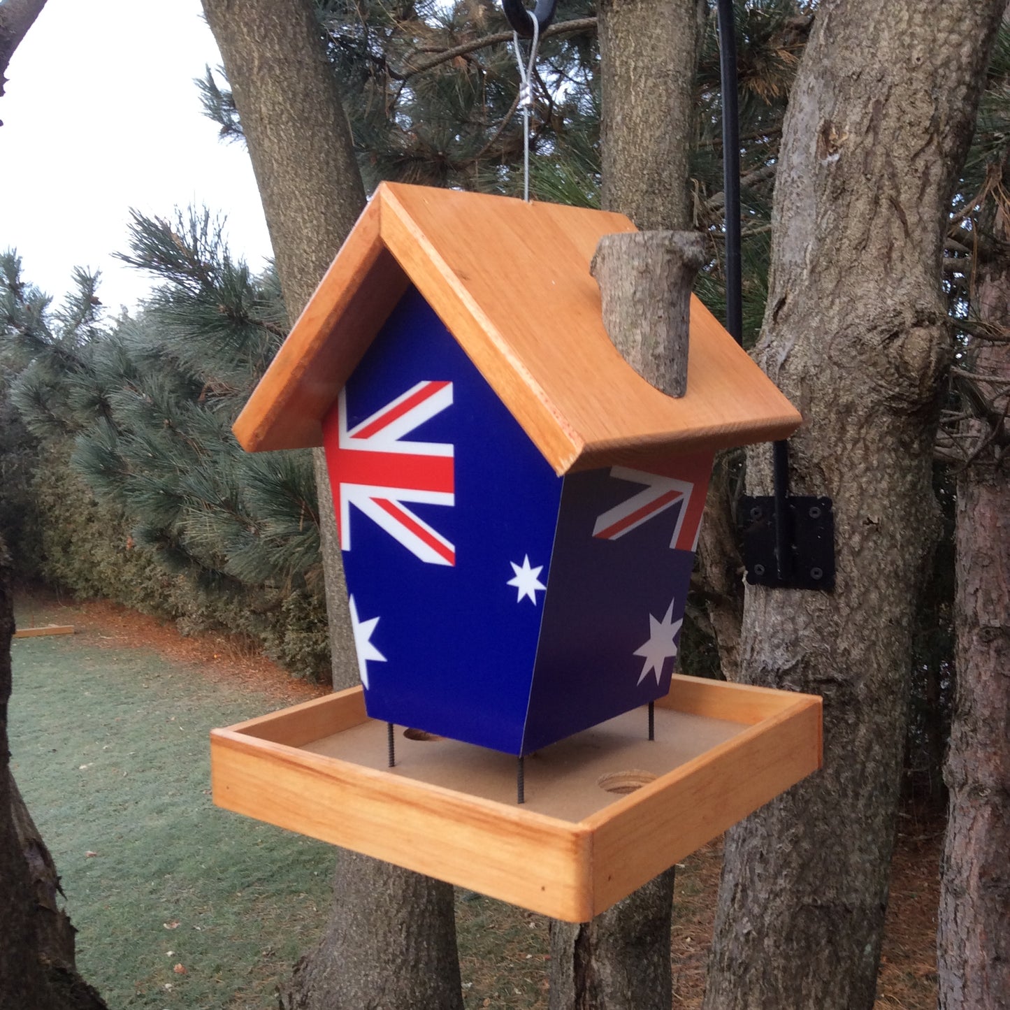 Australia bird feeder