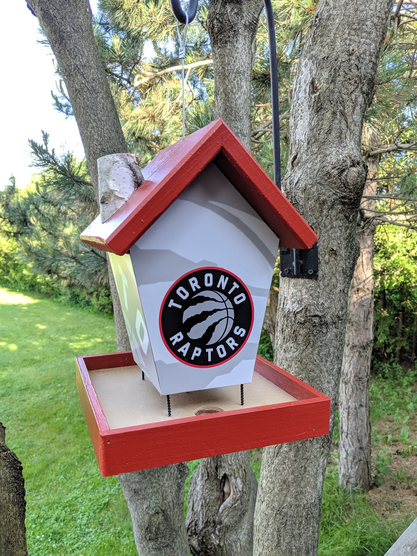 Toronto Raptors Birdfeeder