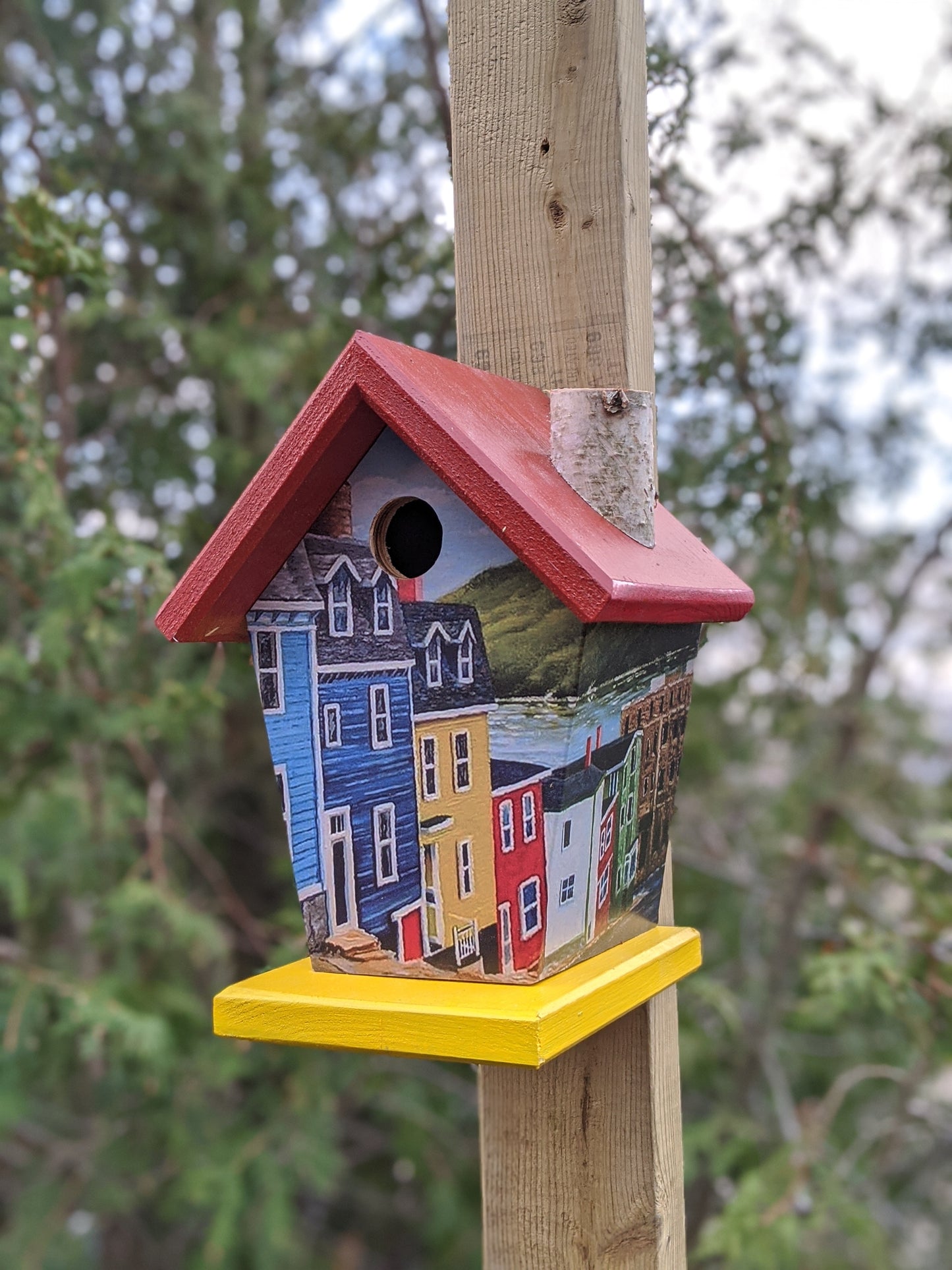 Jelly Bean Row Newfoundland Birdhouse