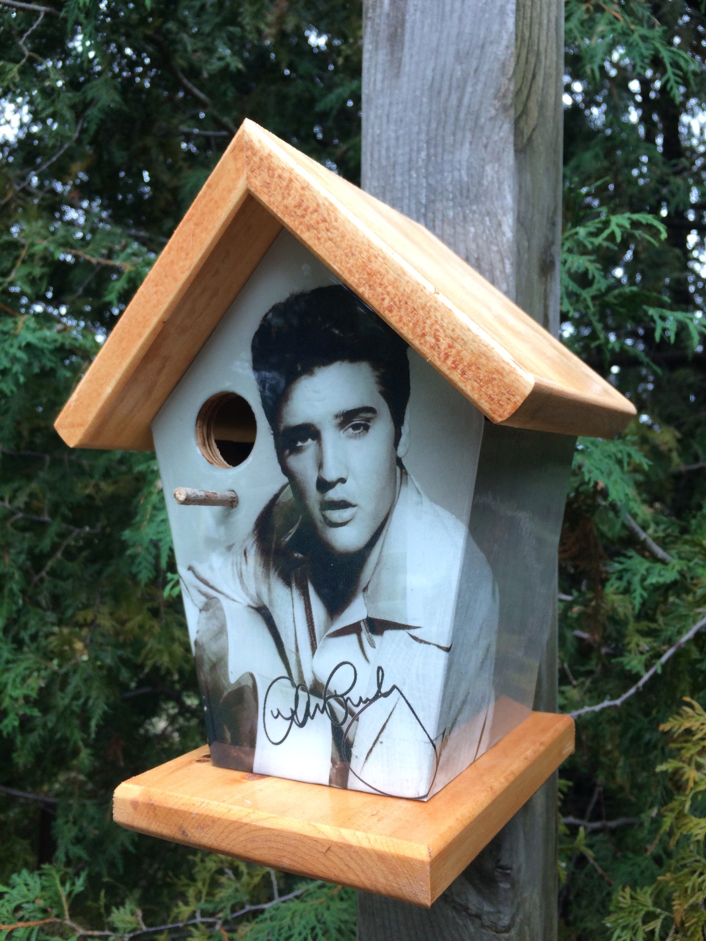 Elvis Presley (Stained Roof & Base) Birdhouse Music