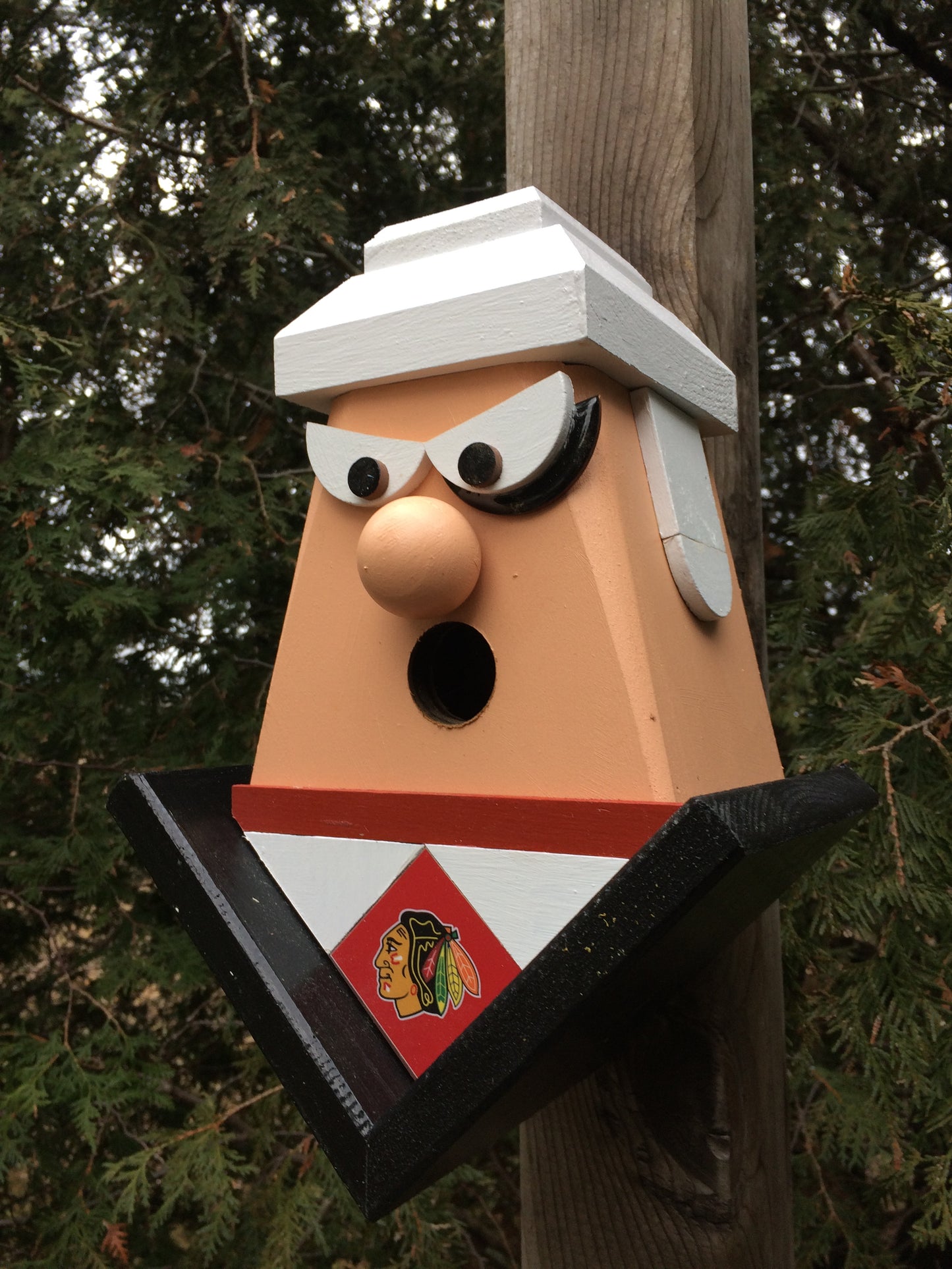 Chicago Blackhawks Birdhouse