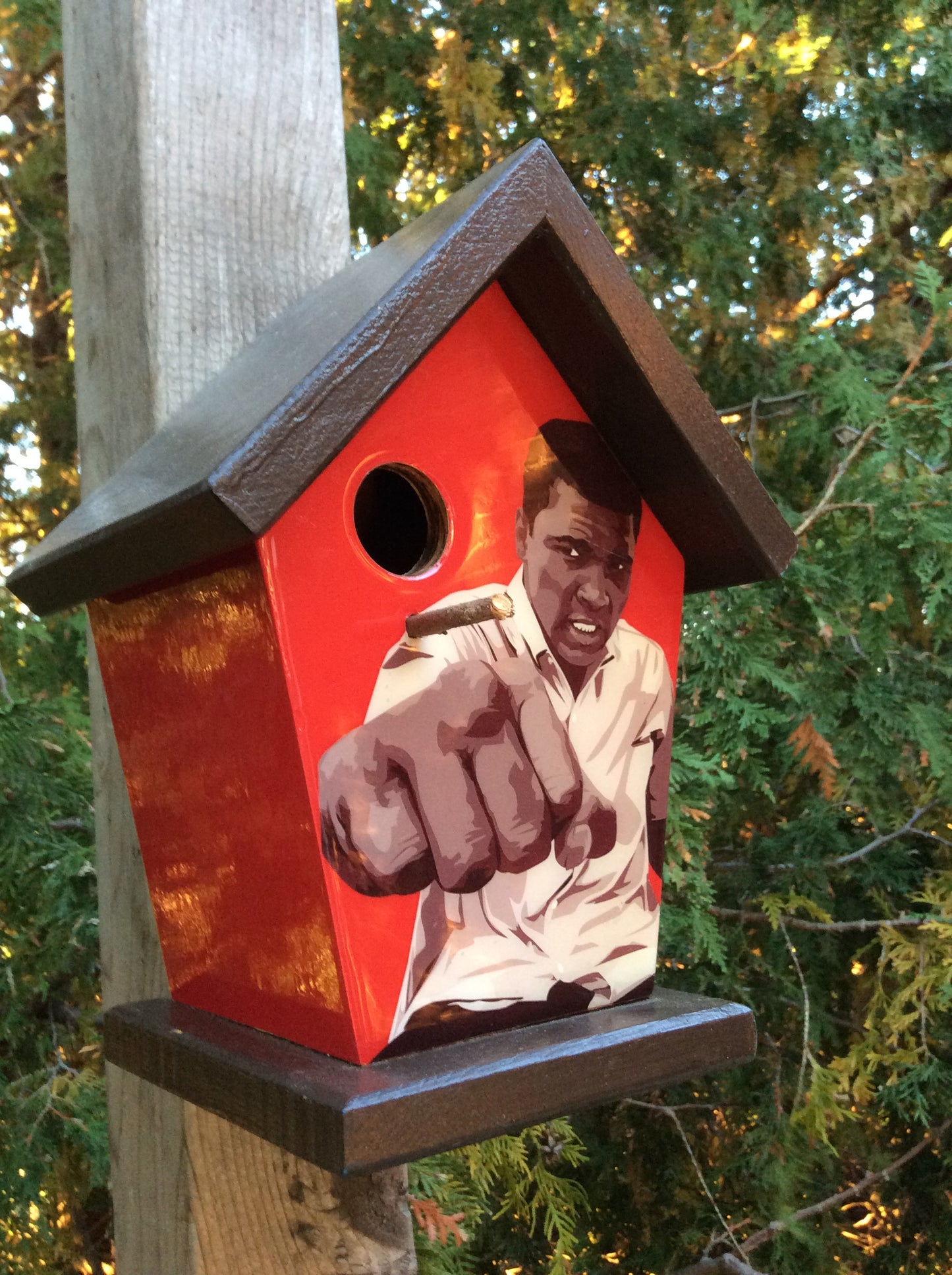 Muhammad Ali Birdhouse