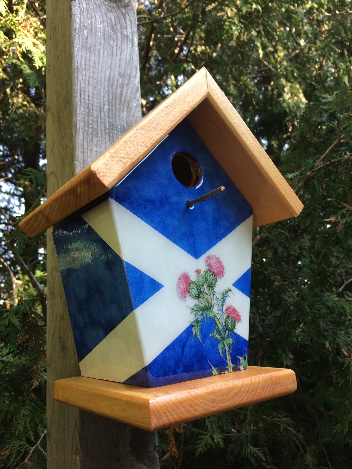 Scottish Thistle Birdhouse