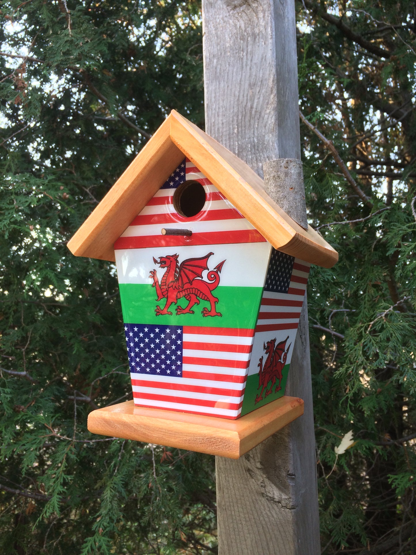 Wales and USA Birdhouse