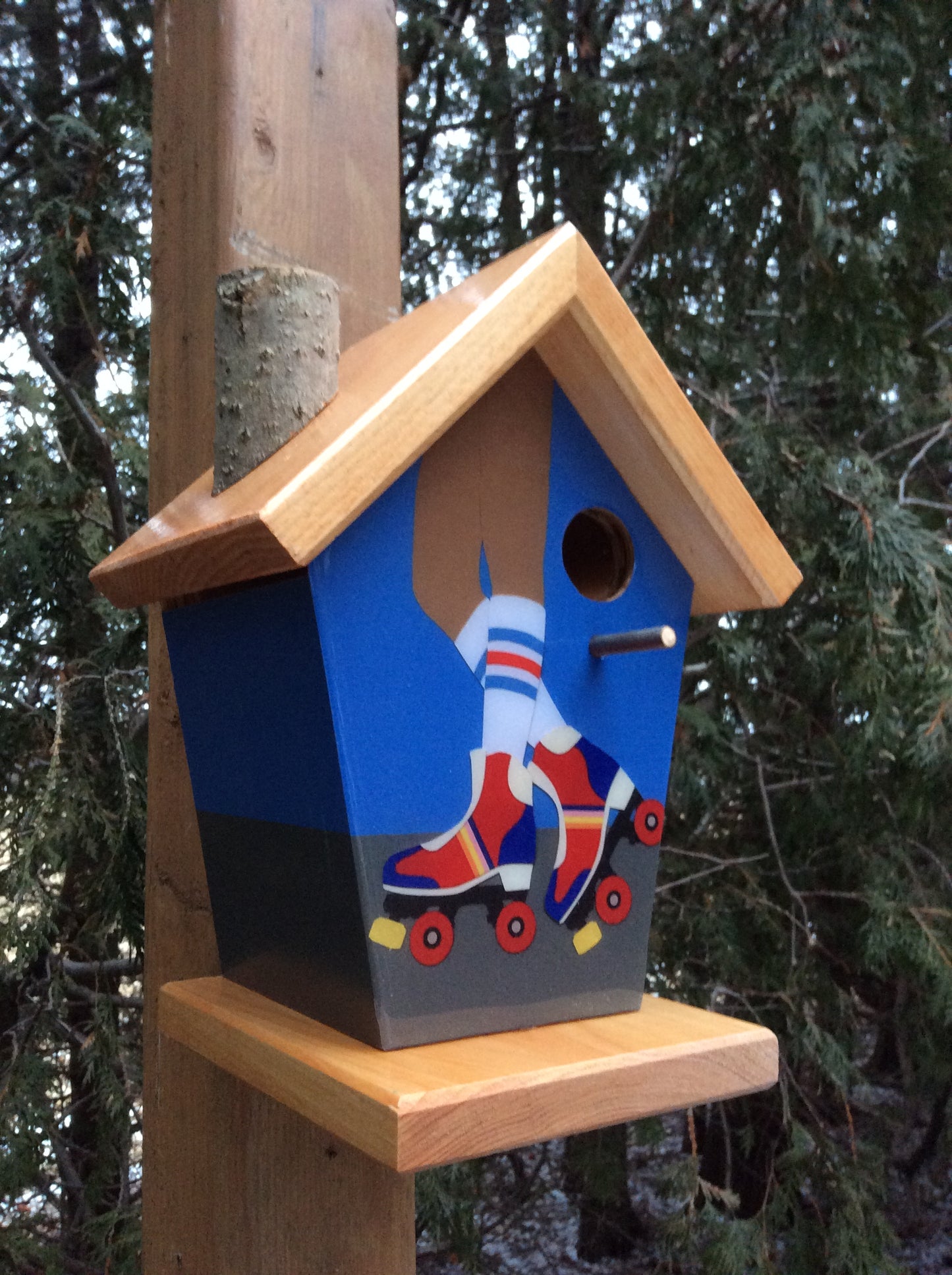 Roller Skate Lovers Birdhouse