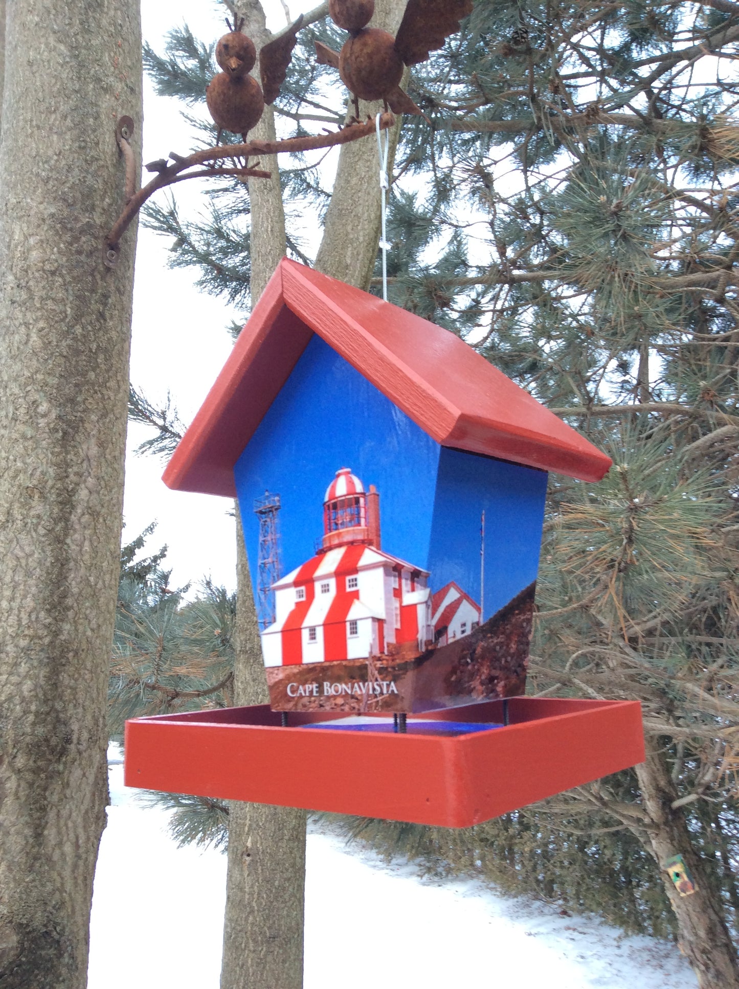 Cape Bonavista bird feeder