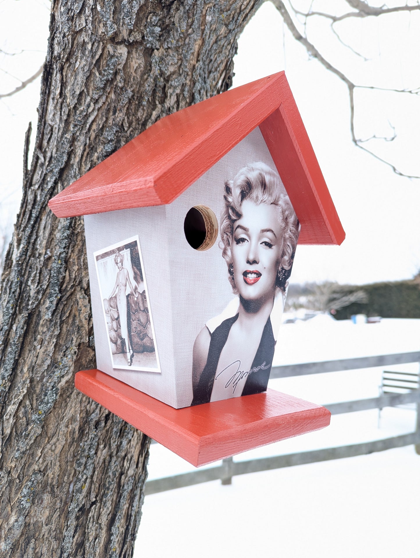 Marilyn Monroe Birdhouse