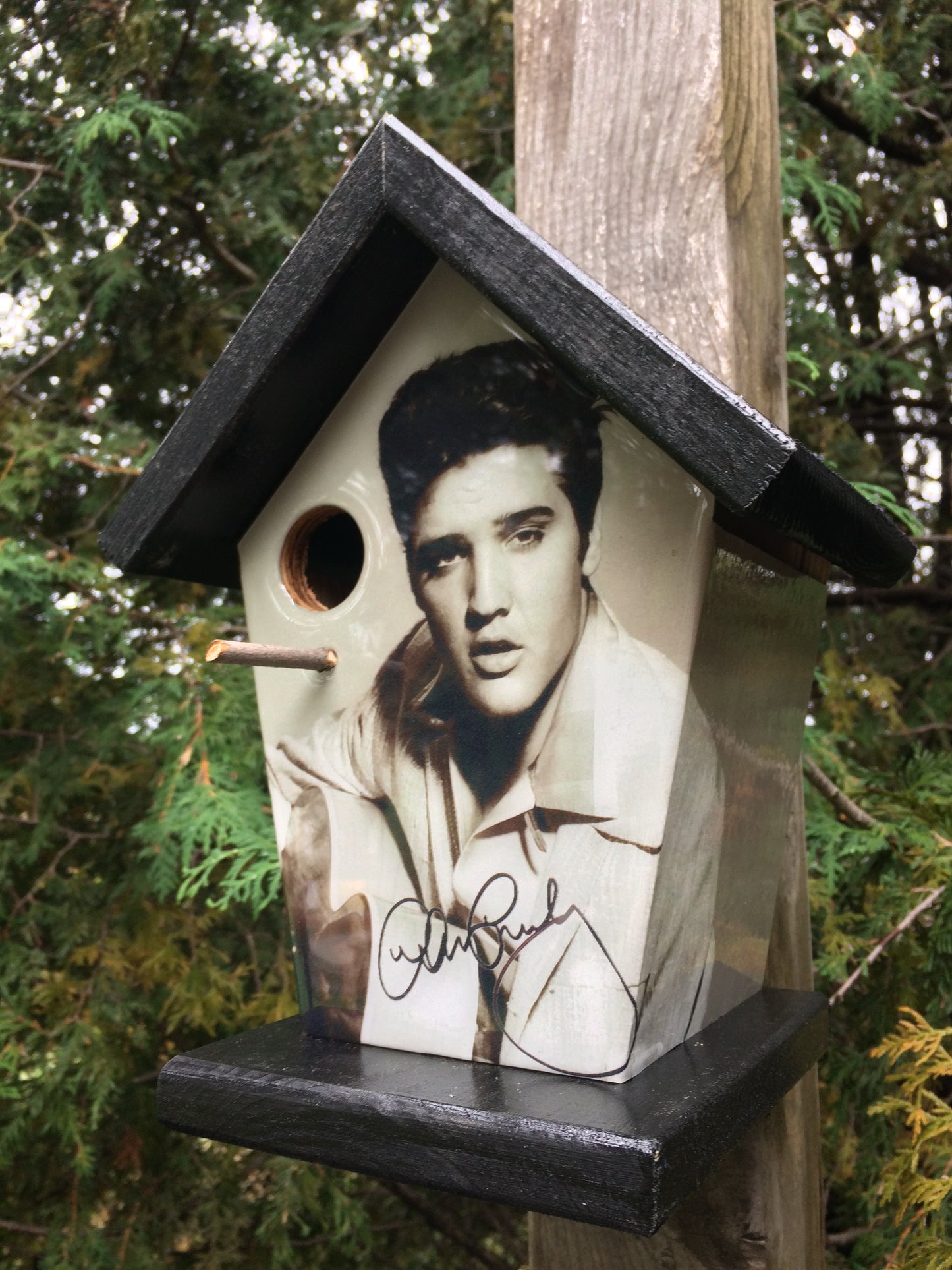 Elvis Presley (Stained Roof & Base) Birdhouse Music