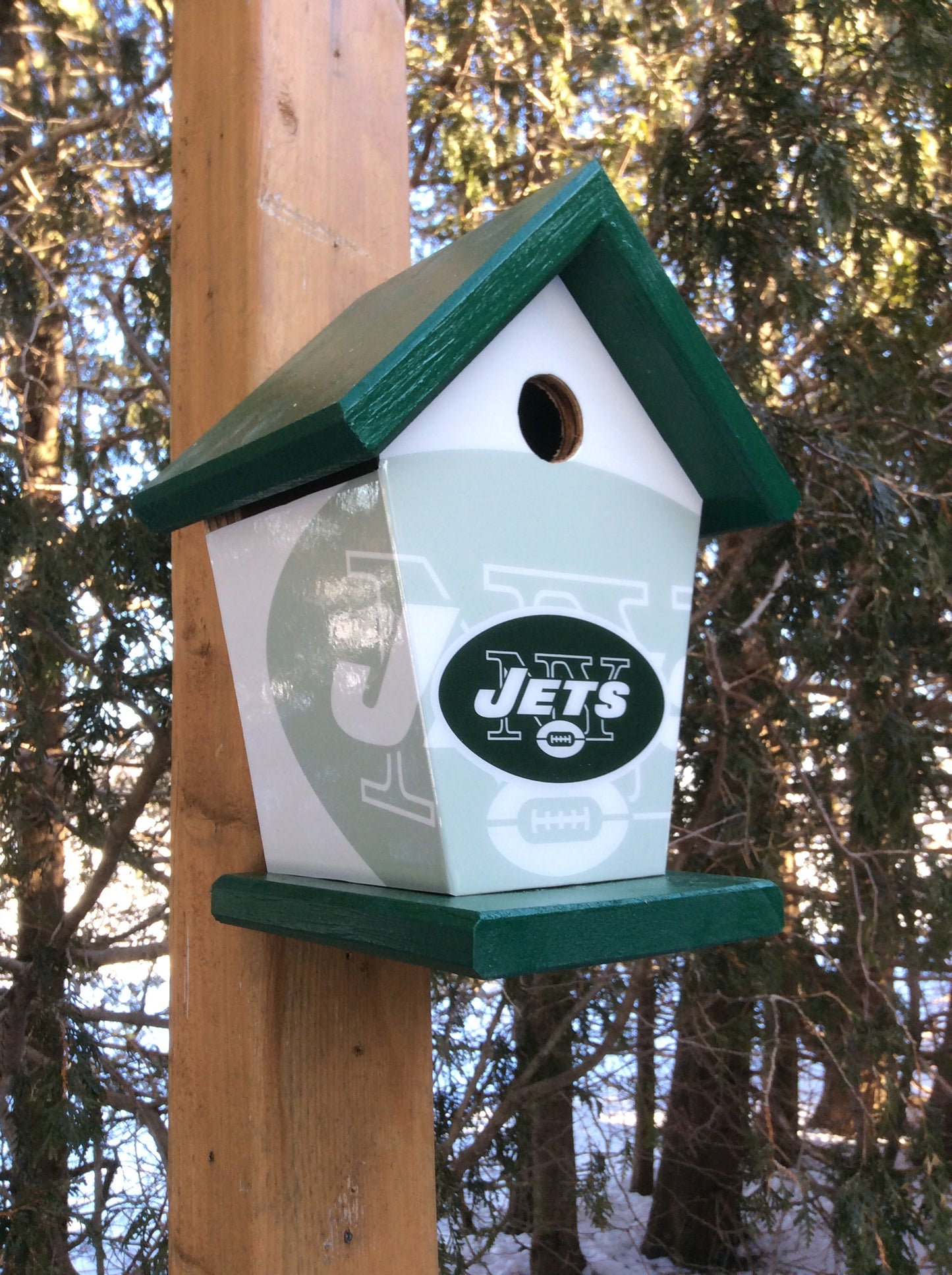 New York Jets Birdhouse