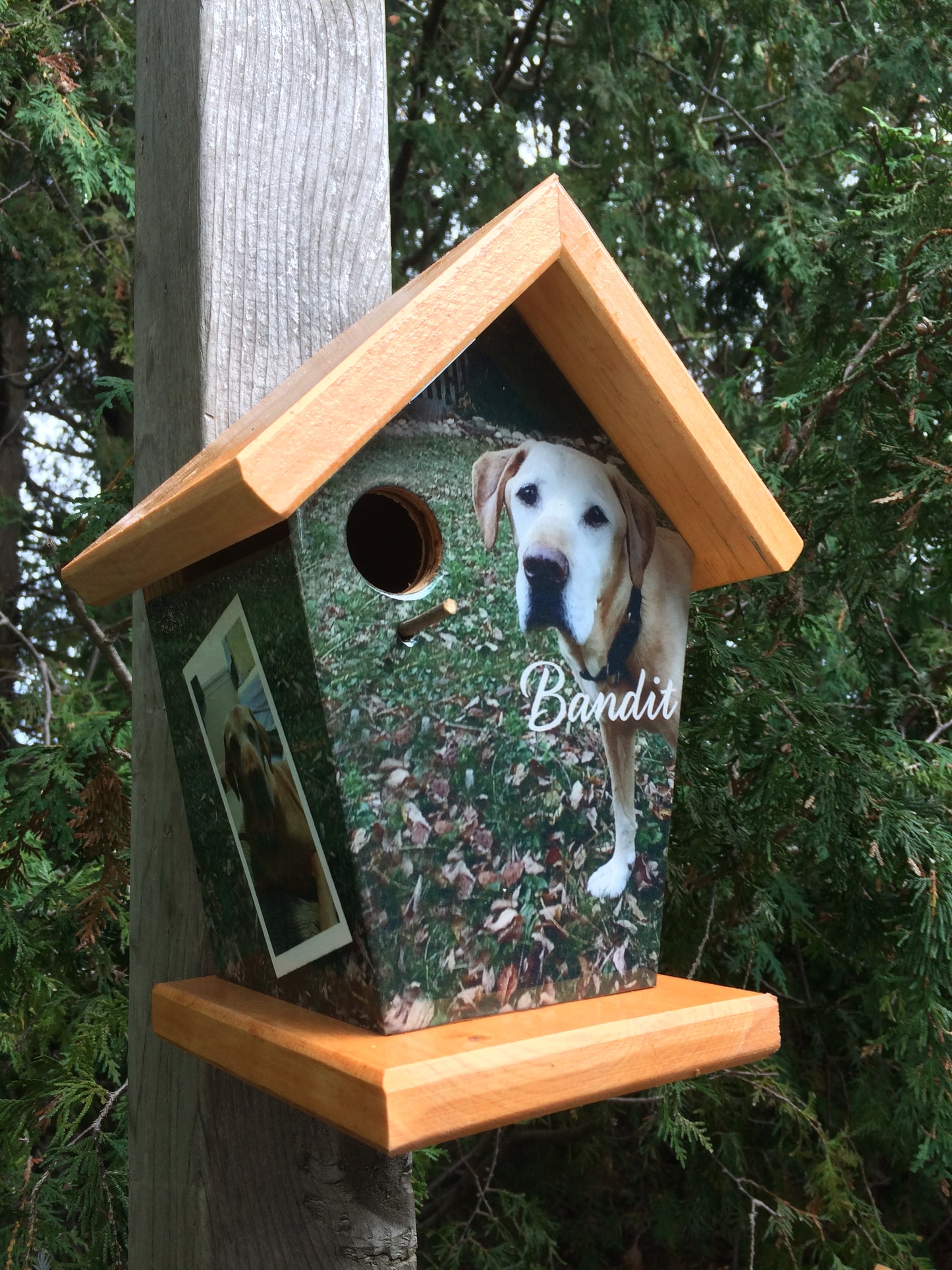 Personalized Pet Dog Birdhouse