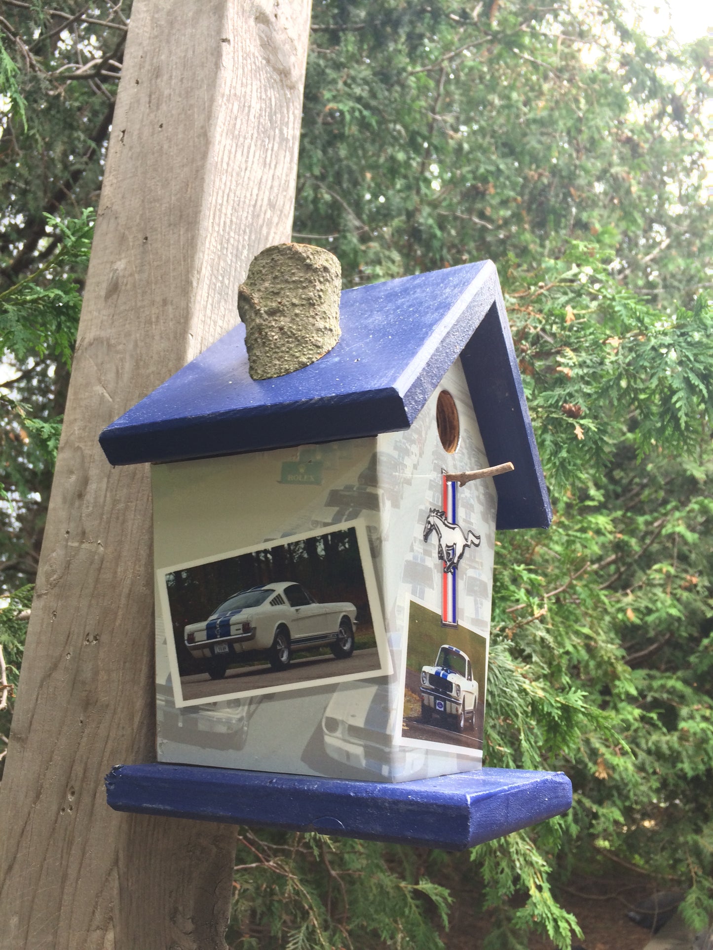 Ford Mustang Lovers Birdhouse