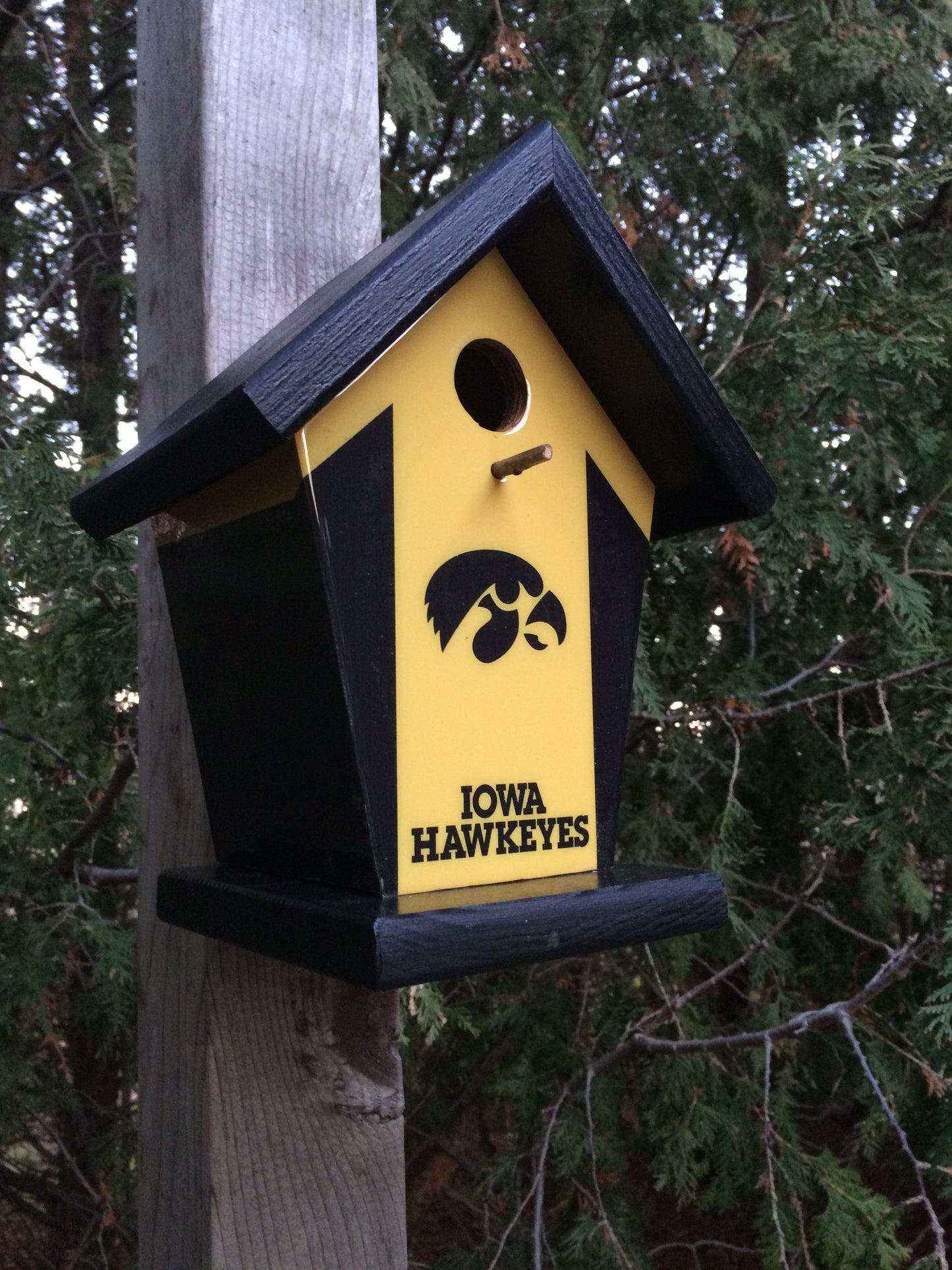 Iowa Hawkeyes Birdhouse