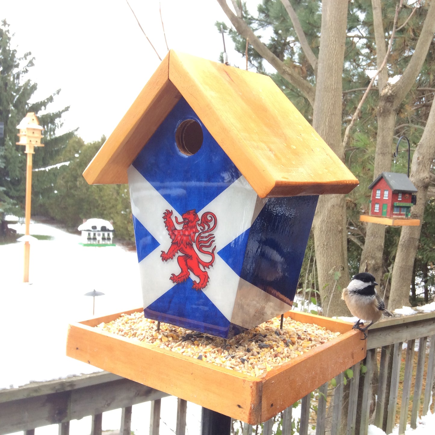 Scotland flag bird feeder