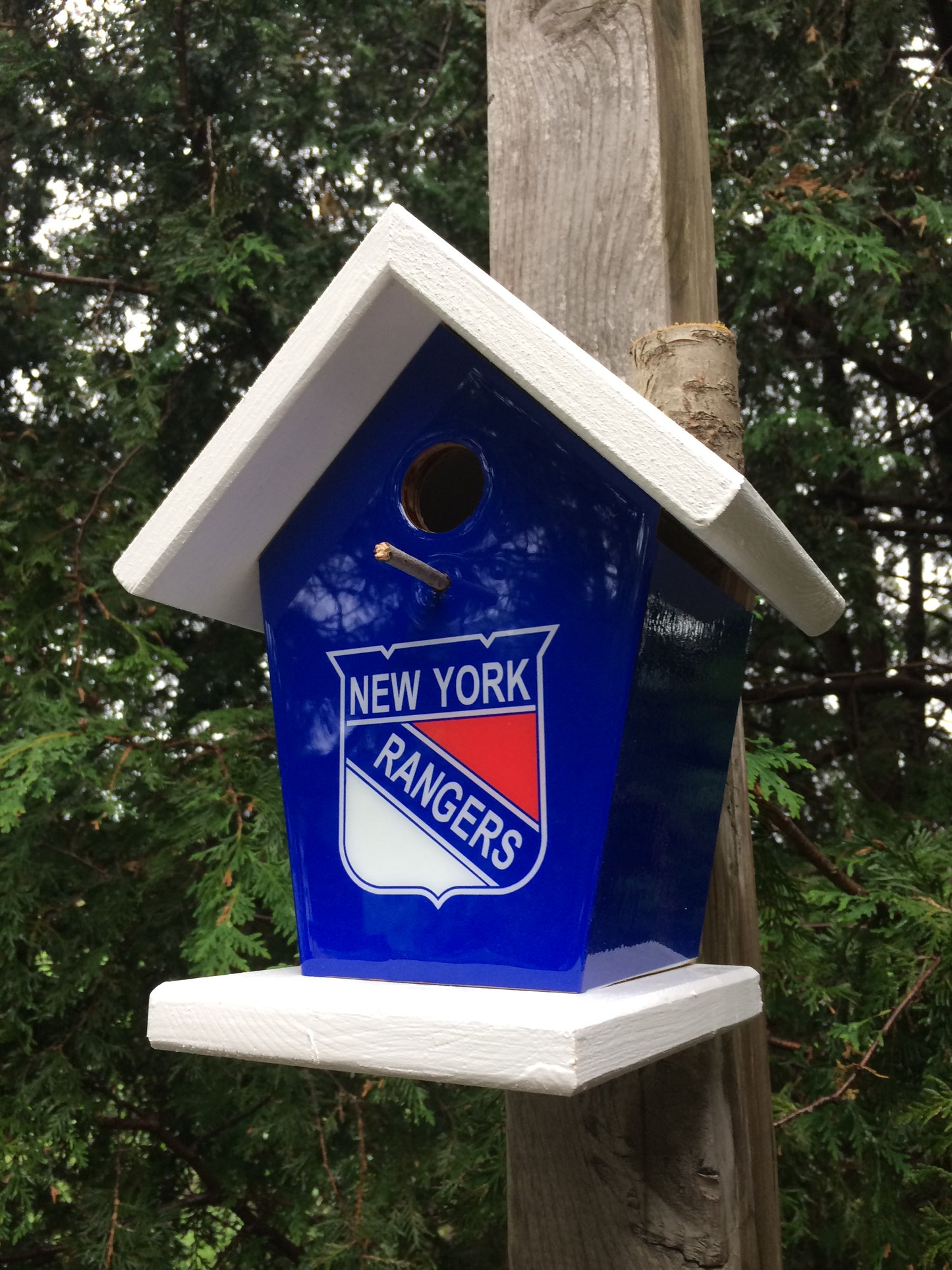 New York Rangers Birdhouse